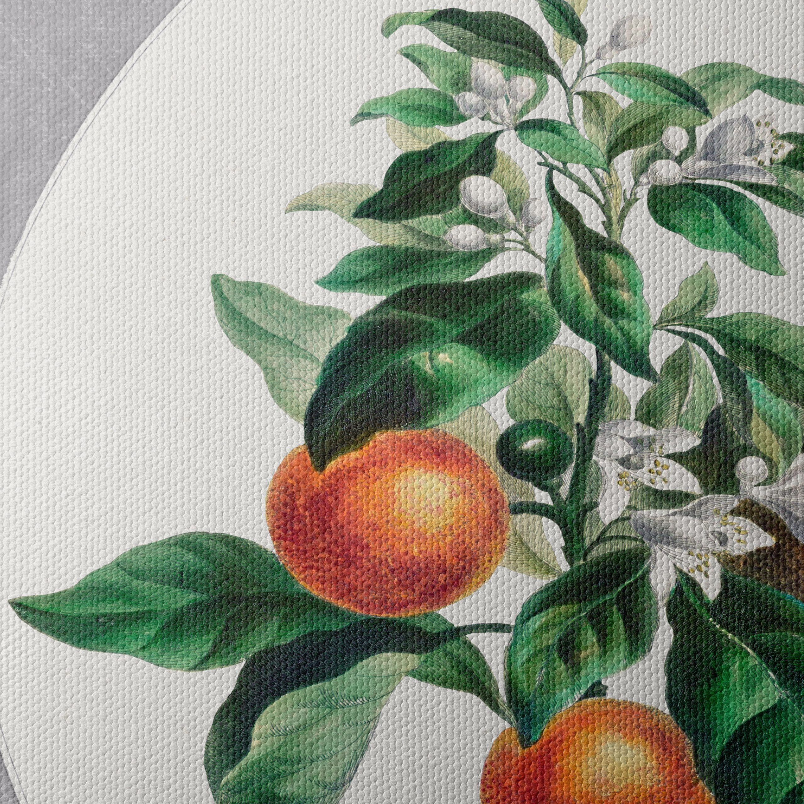 Botanical Art of Orange Tree with Blossoms - Image 4
