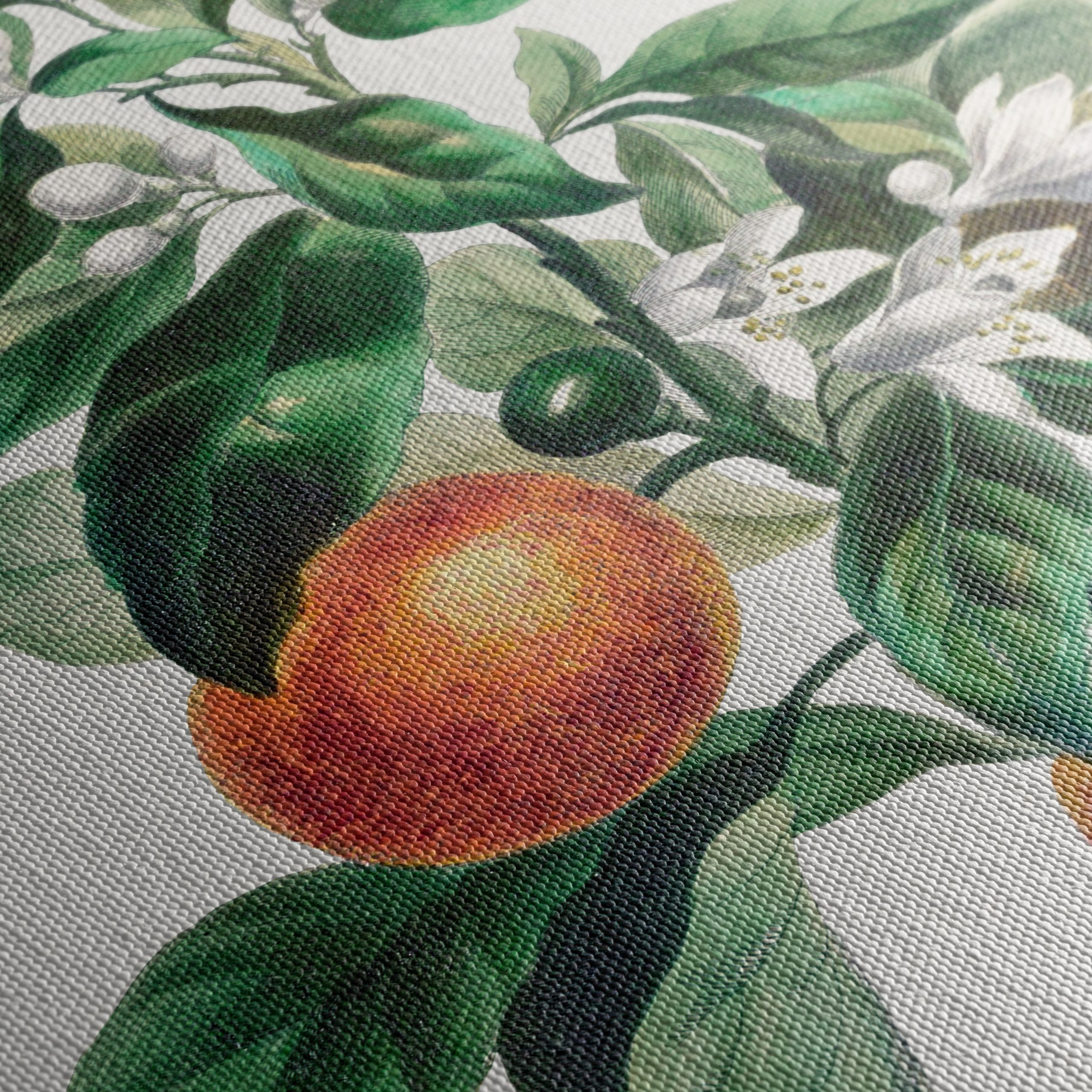 Botanical Art of Orange Tree with Blossoms - Image 5