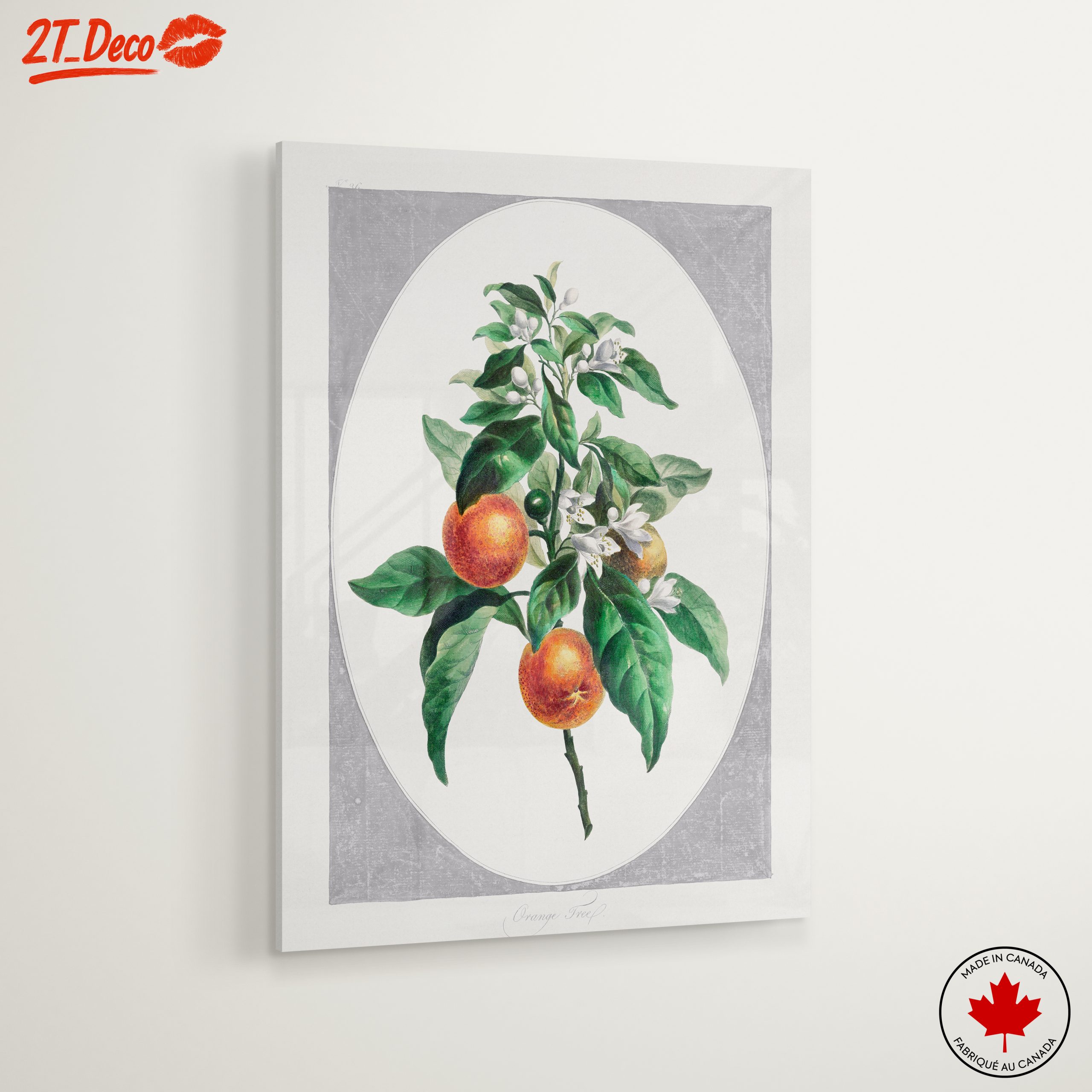 Botanical Art of Orange Tree with Blossoms - Image 6