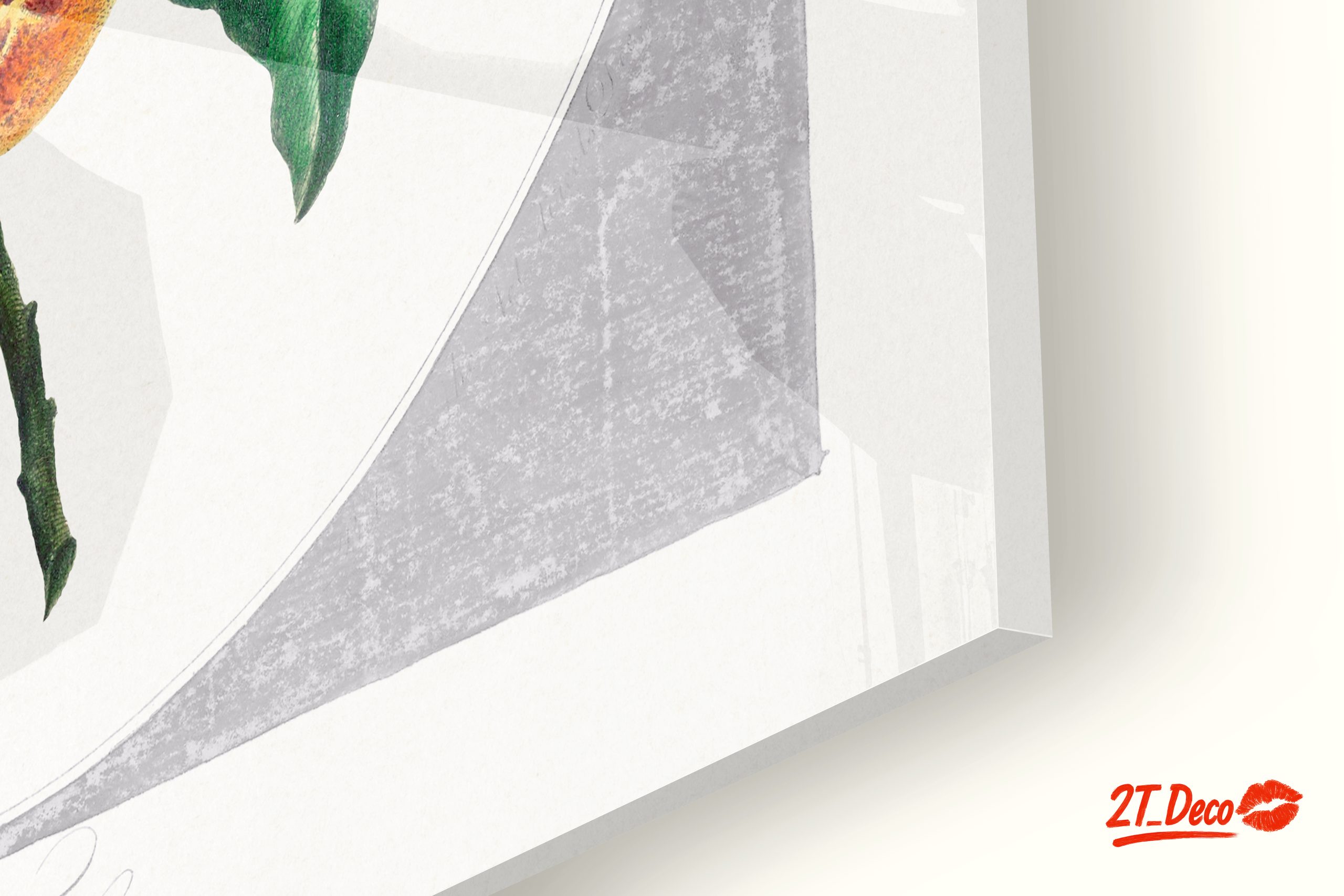 Botanical Art of Orange Tree with Blossoms - Image 9