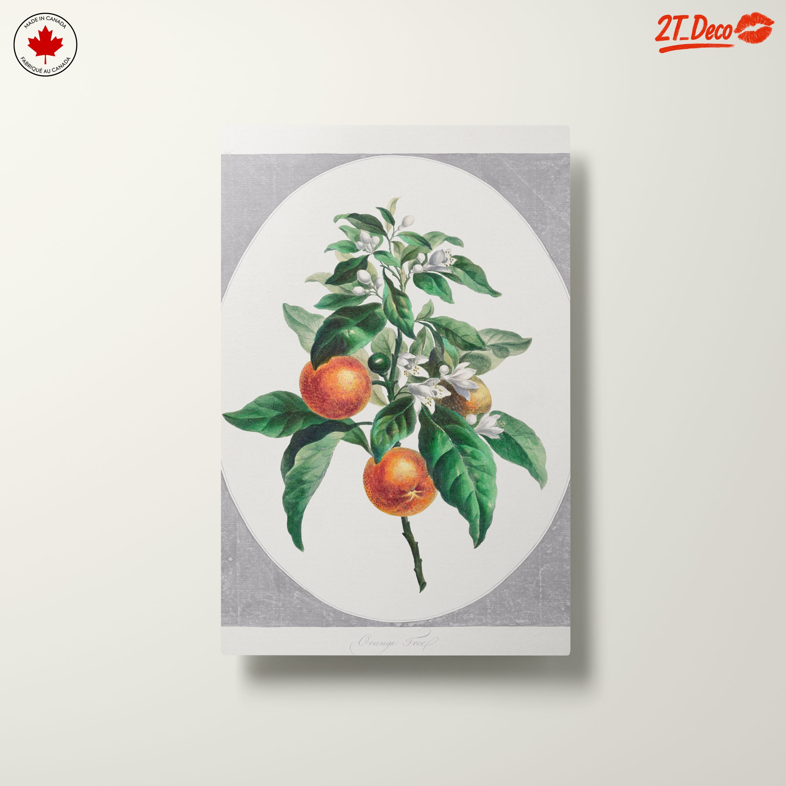 Botanical Art of Orange Tree with Blossoms - Image 10