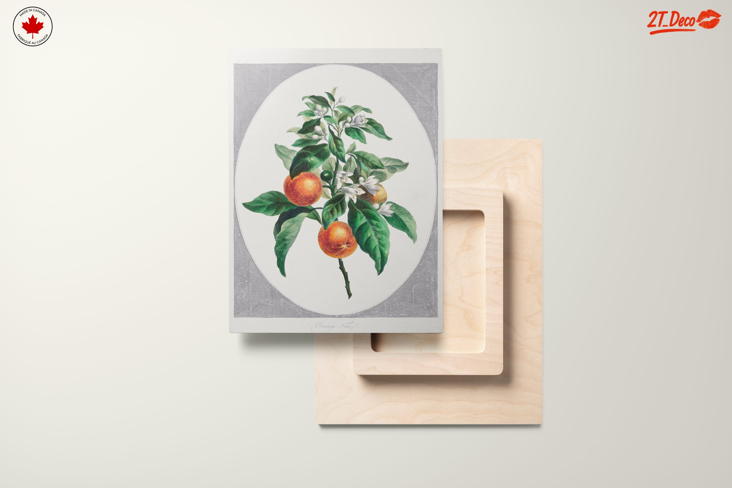 Botanical Art of Orange Tree with Blossoms - Image 11