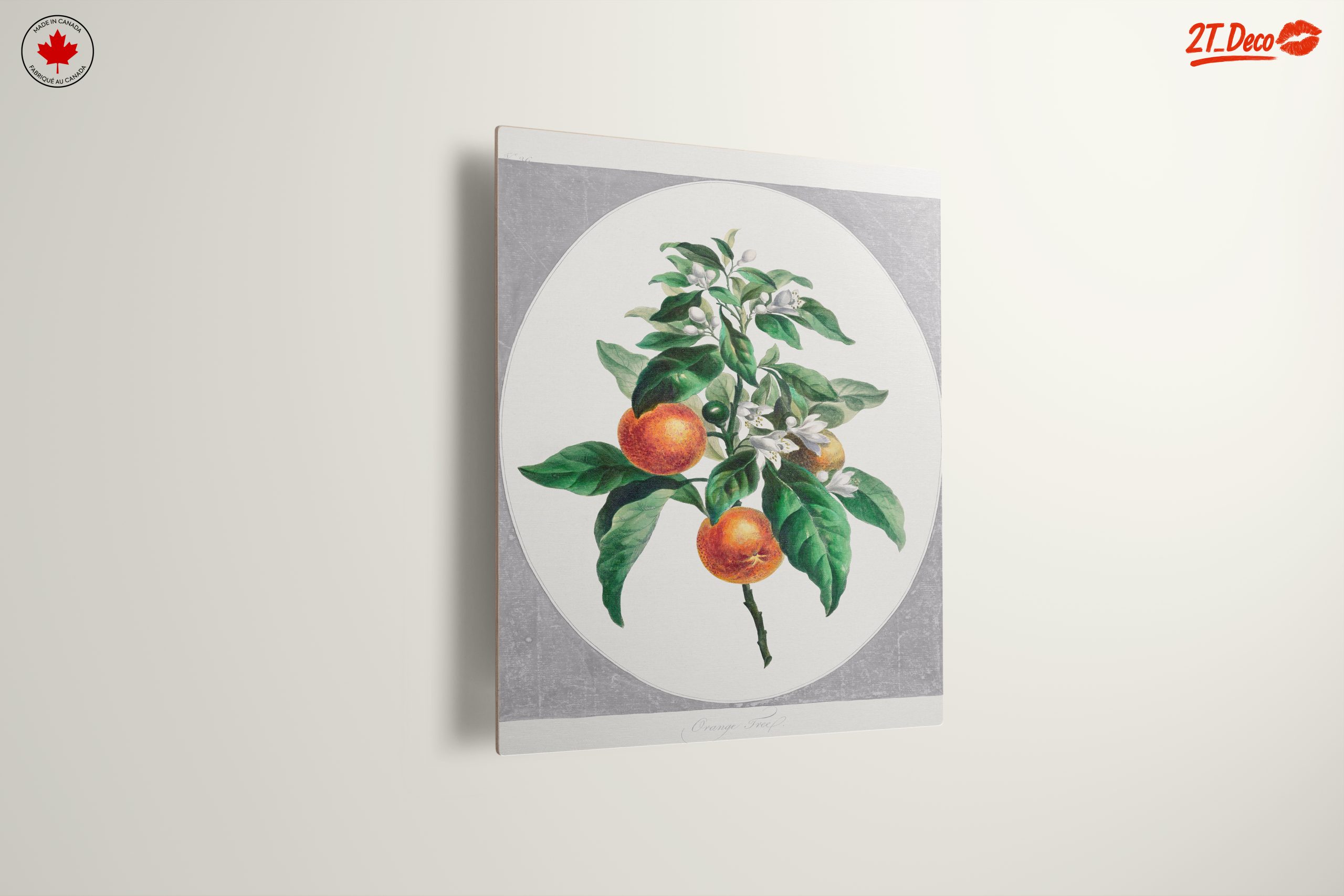 Botanical Art of Orange Tree with Blossoms - Image 13