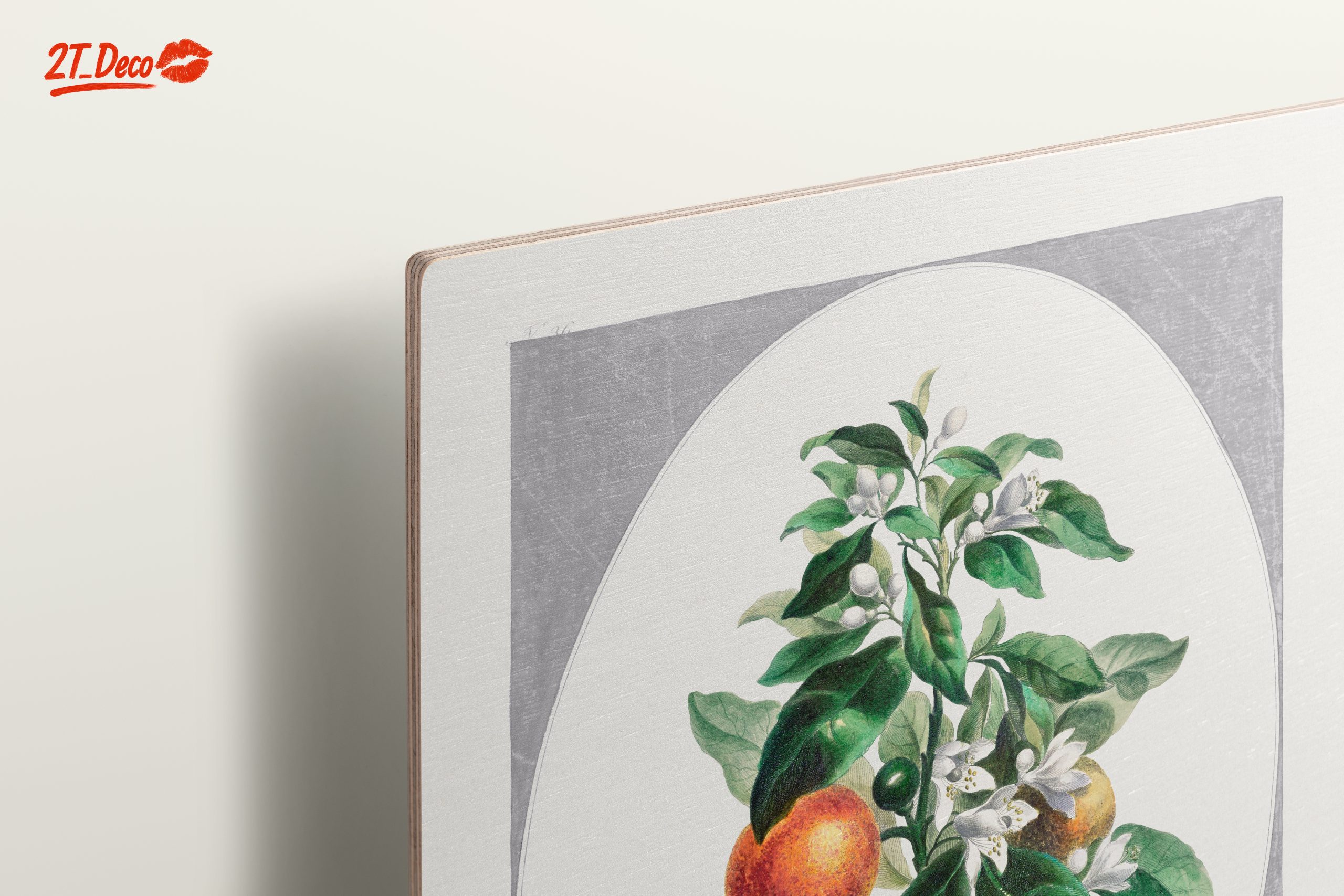 Botanical Art of Orange Tree with Blossoms - Image 15