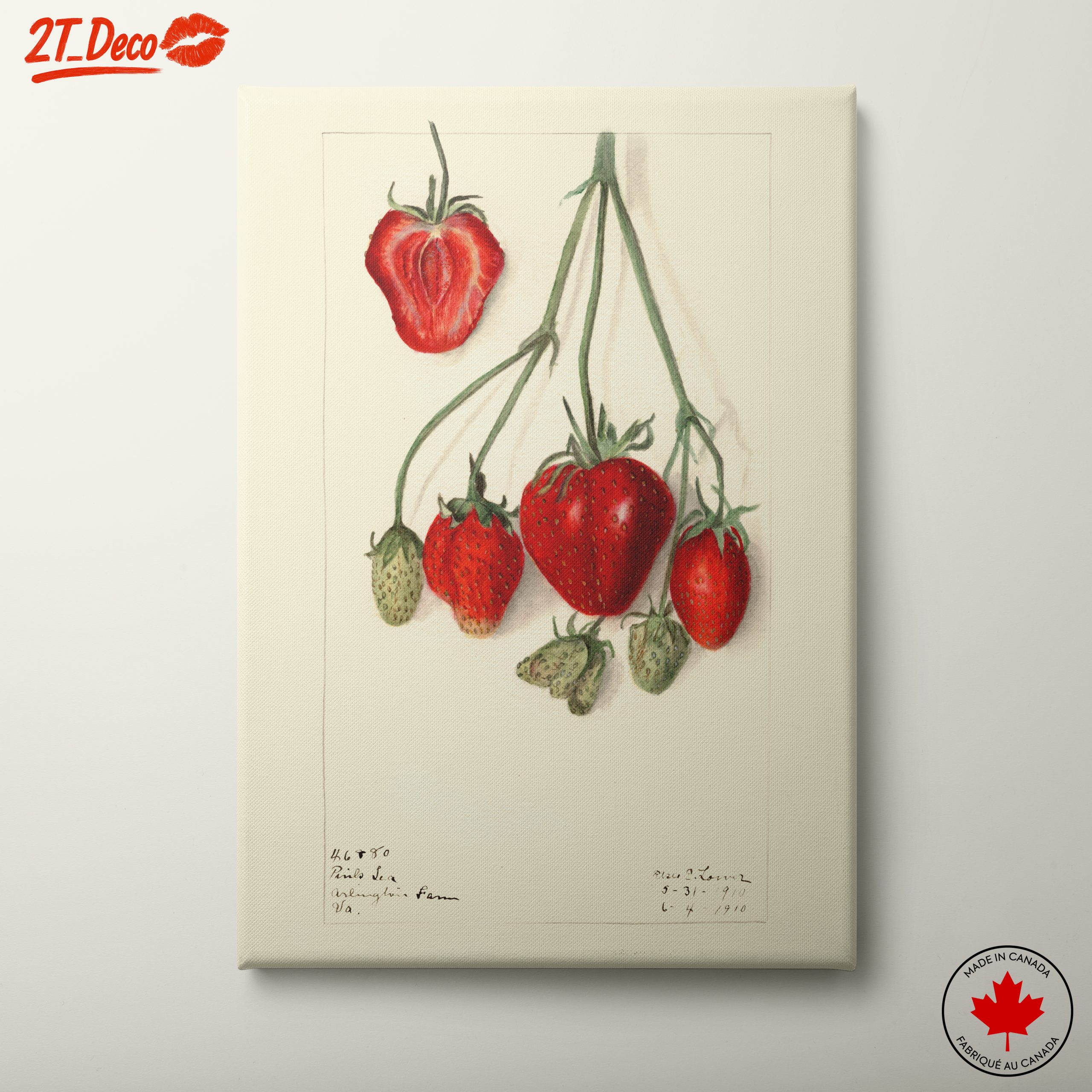 Stylized Strawberry Composition