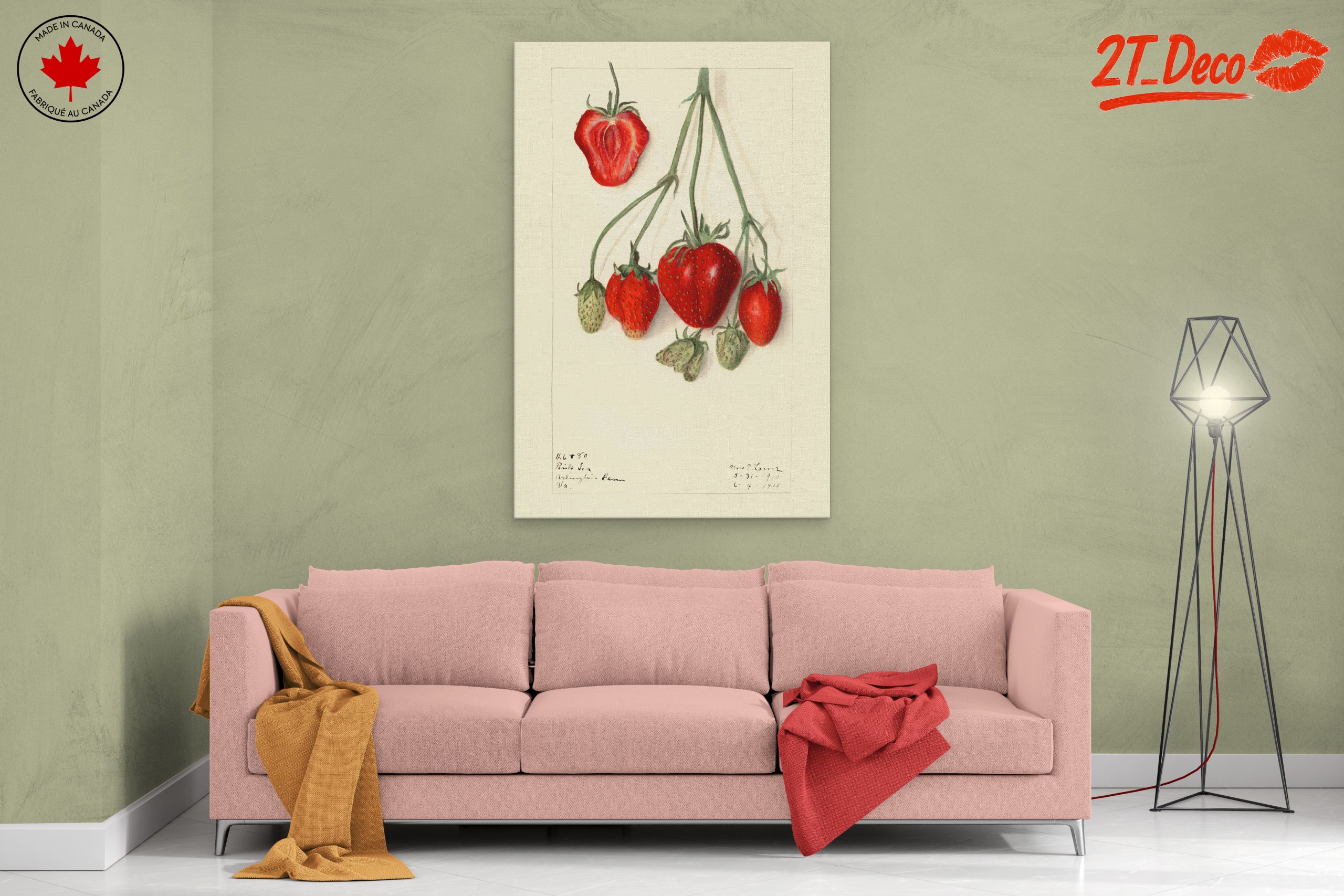Stylized Strawberry Composition - Image 2
