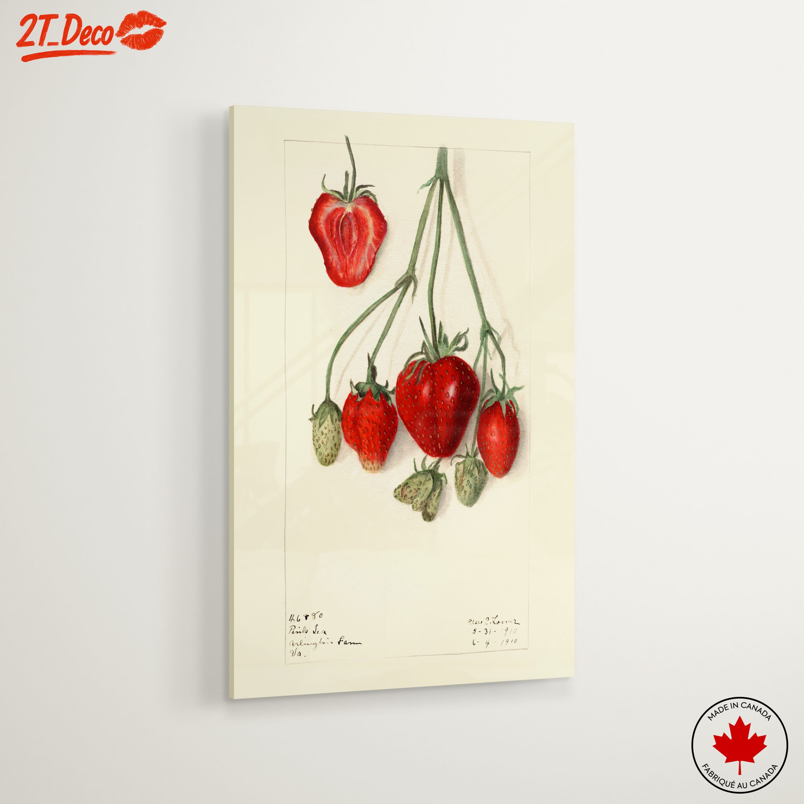 Stylized Strawberry Composition - Image 6