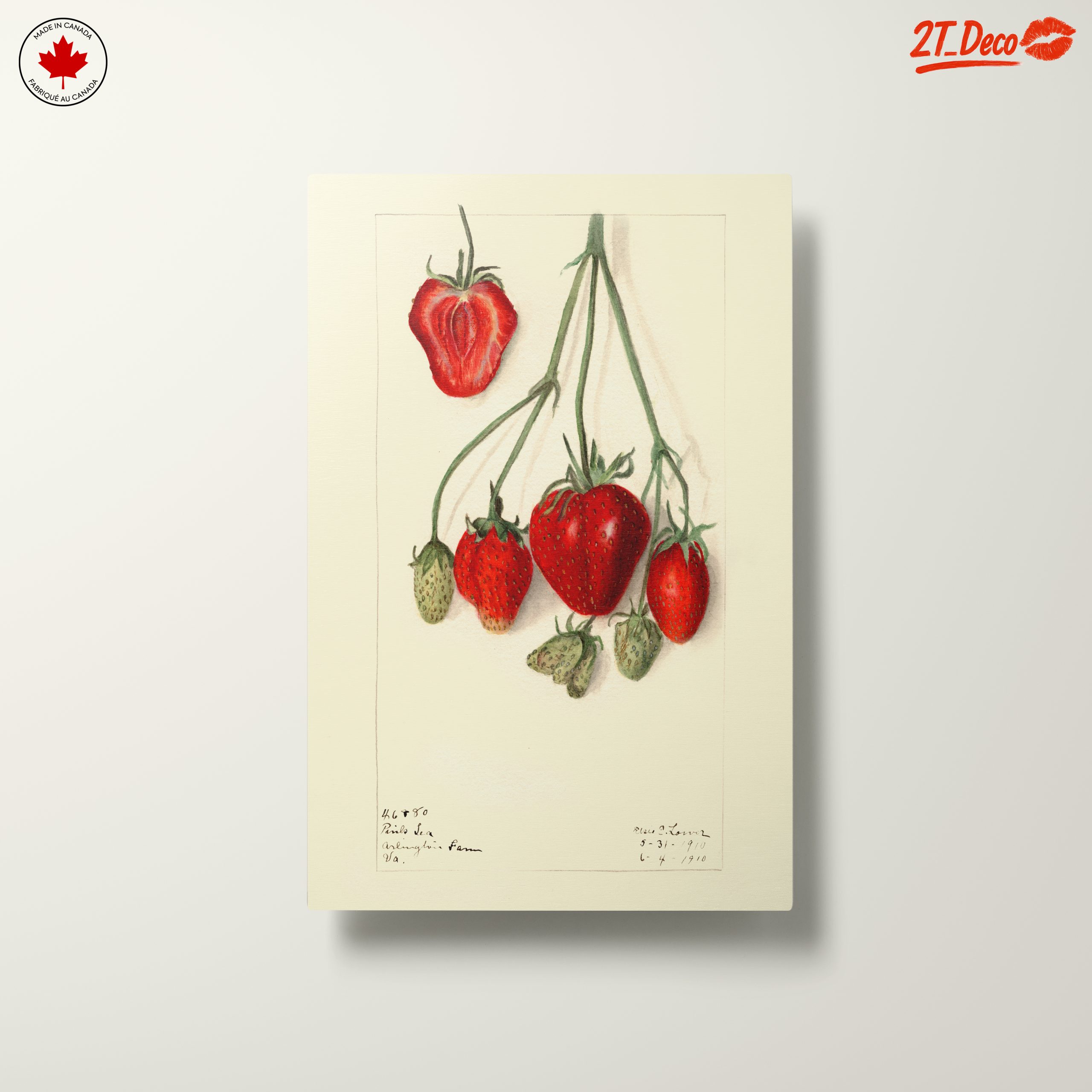 Stylized Strawberry Composition - Image 10