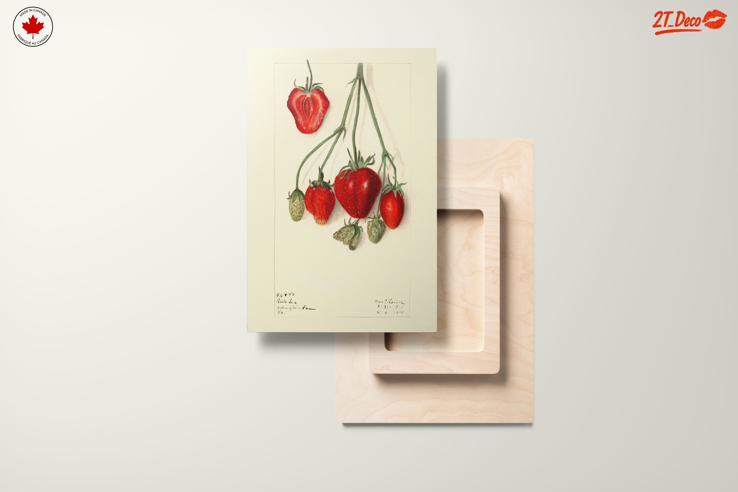 Stylized Strawberry Composition - Image 11