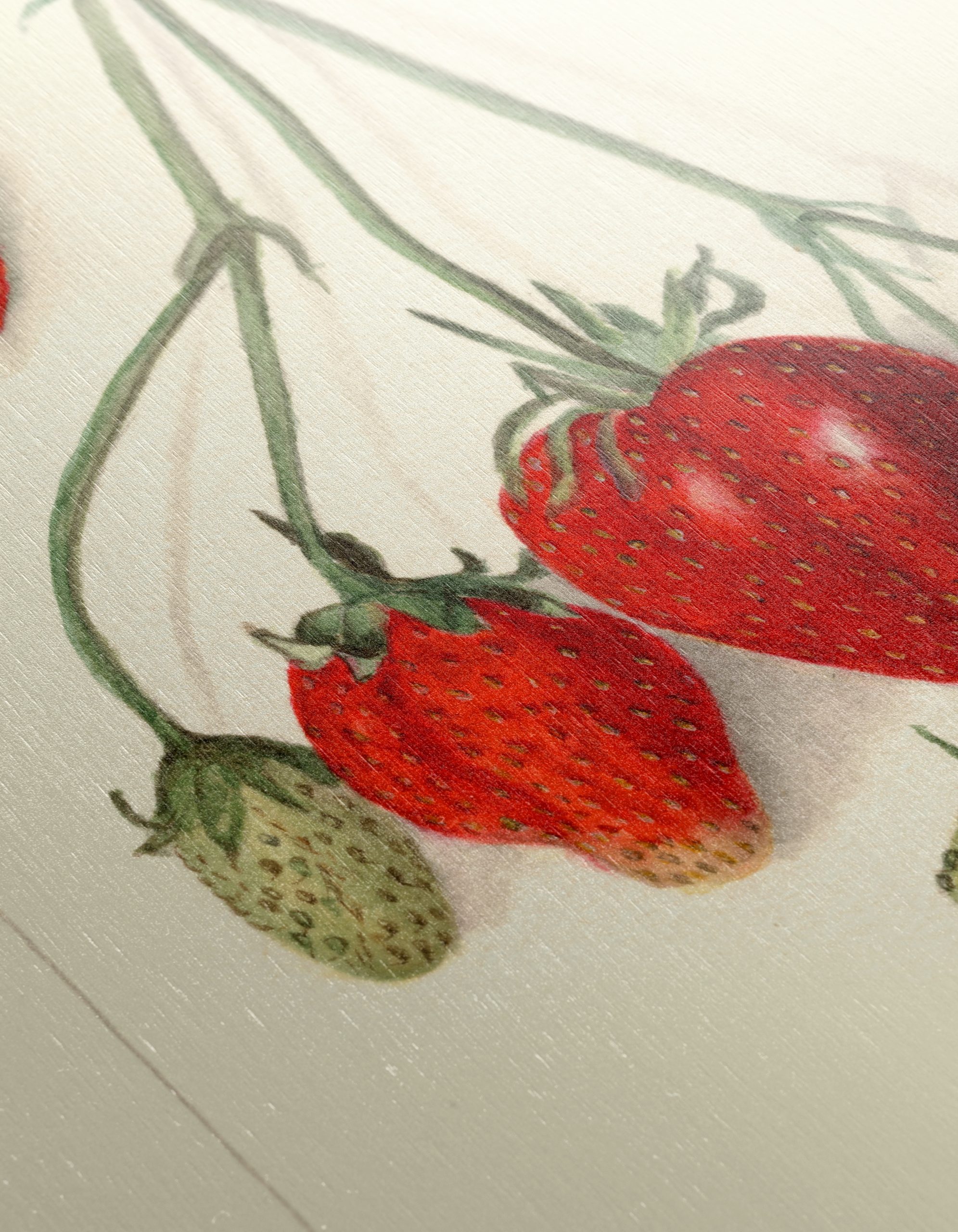 Stylized Strawberry Composition - Image 12