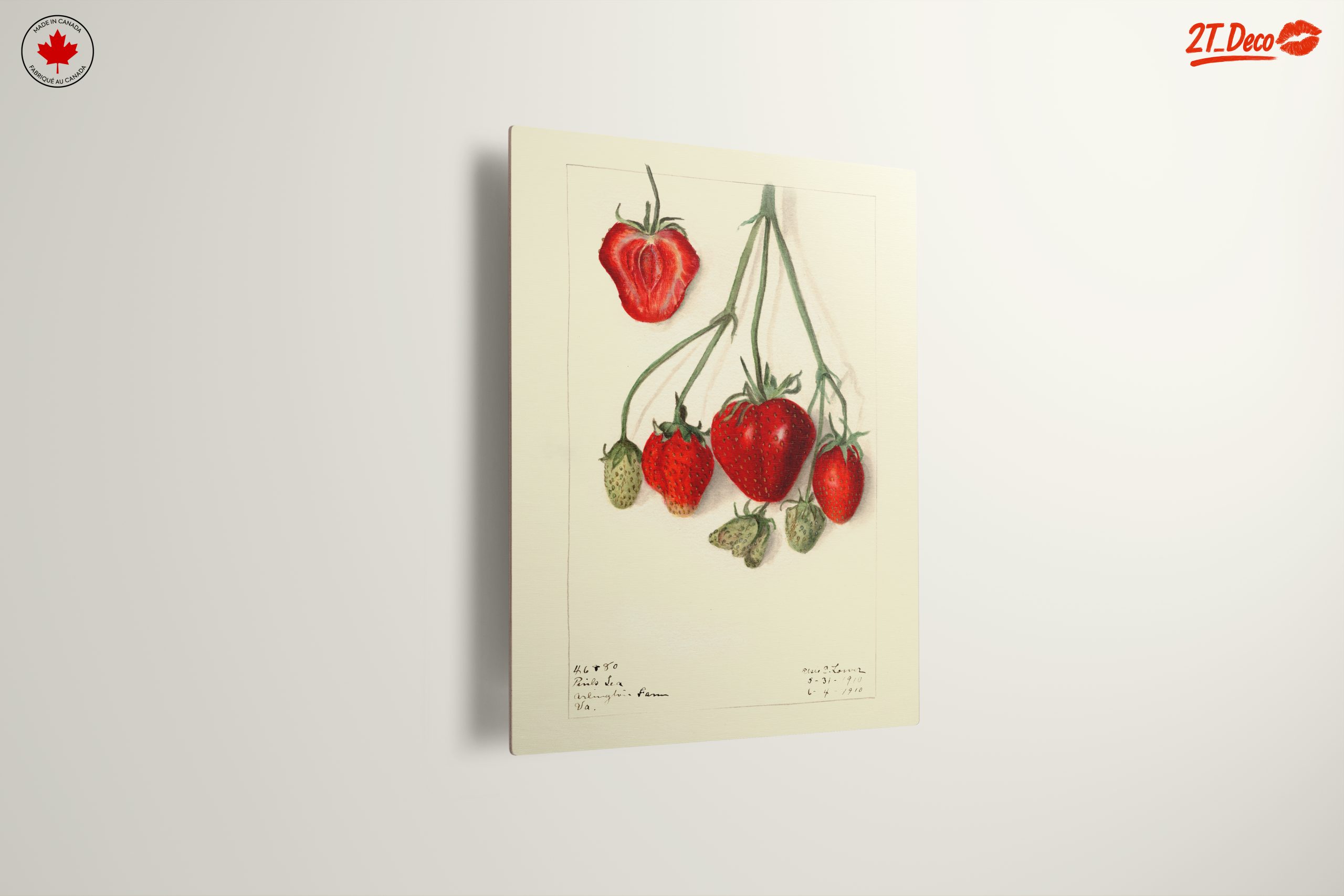Stylized Strawberry Composition - Image 13