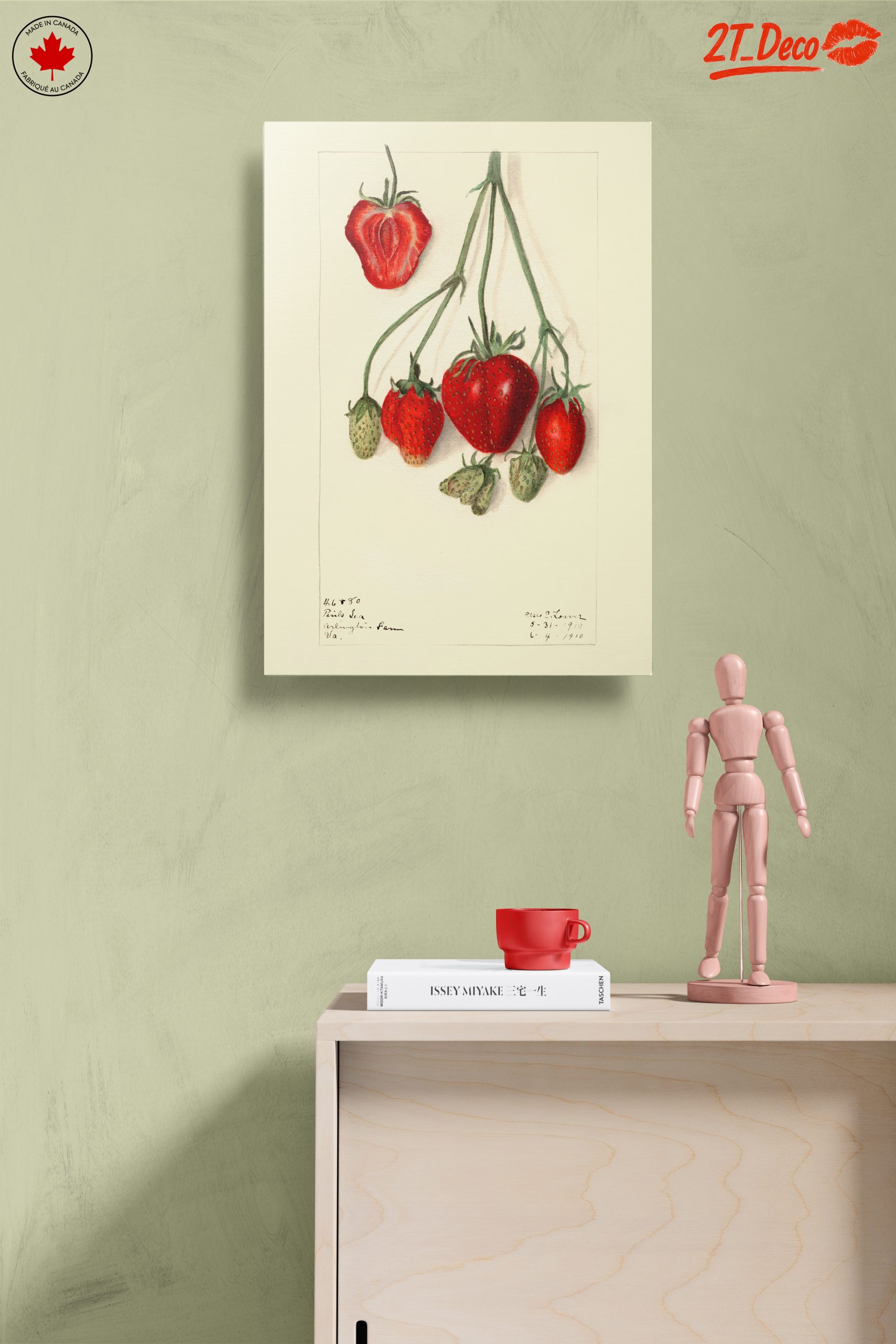 Stylized Strawberry Composition - Image 14