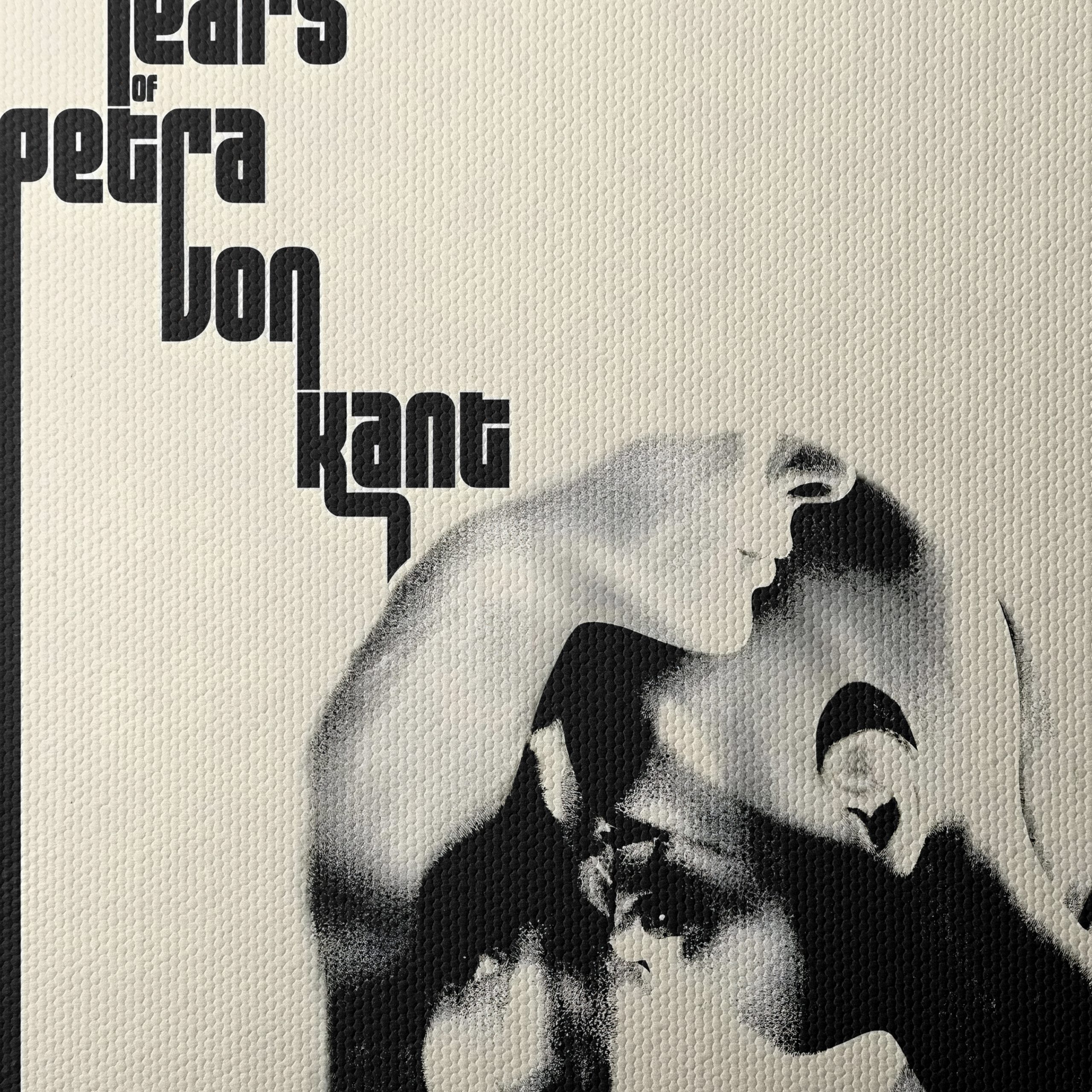 The Bitter Tears of Petra Von Kant Artwork - Image 4