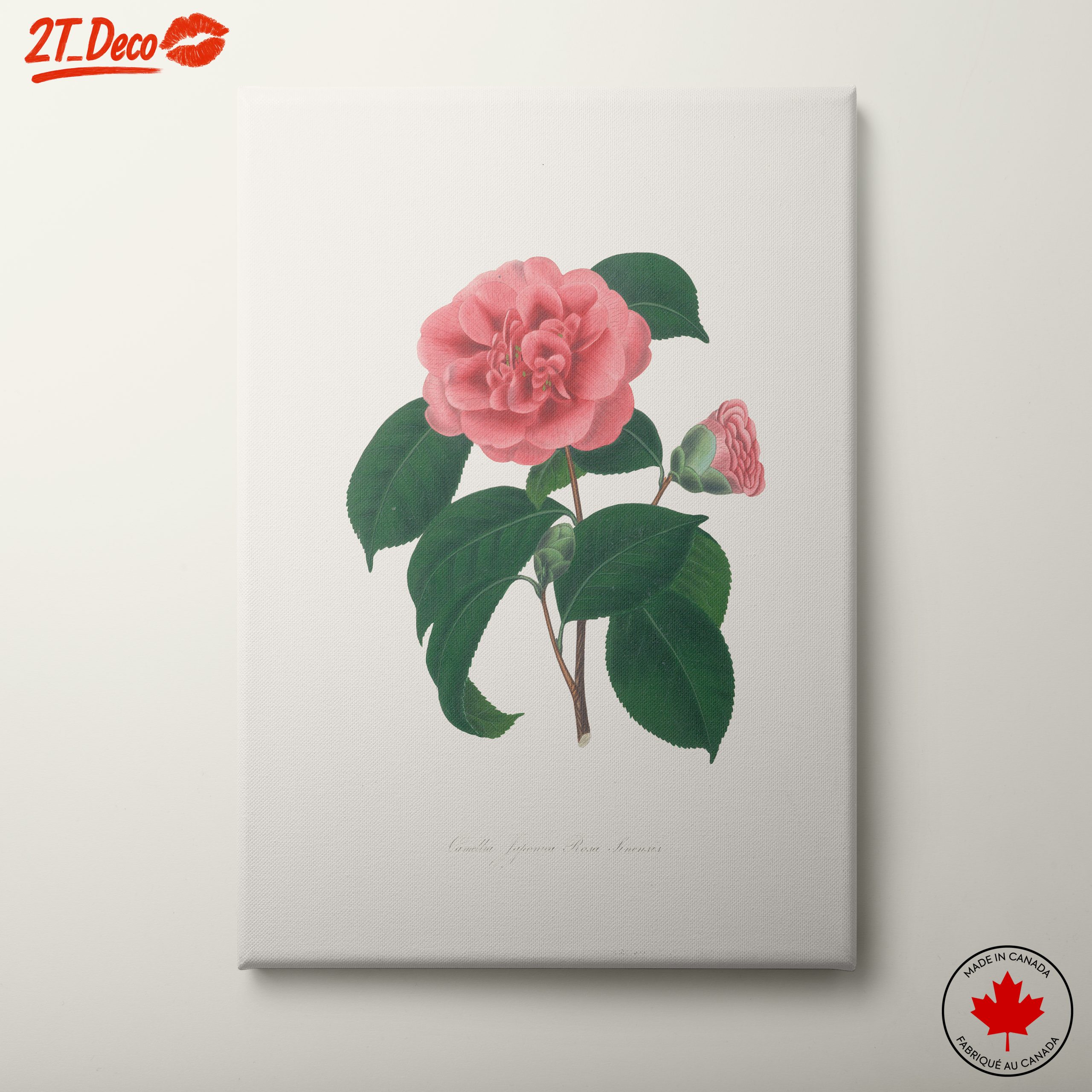 Beautiful Botanical Floral Artwork 7