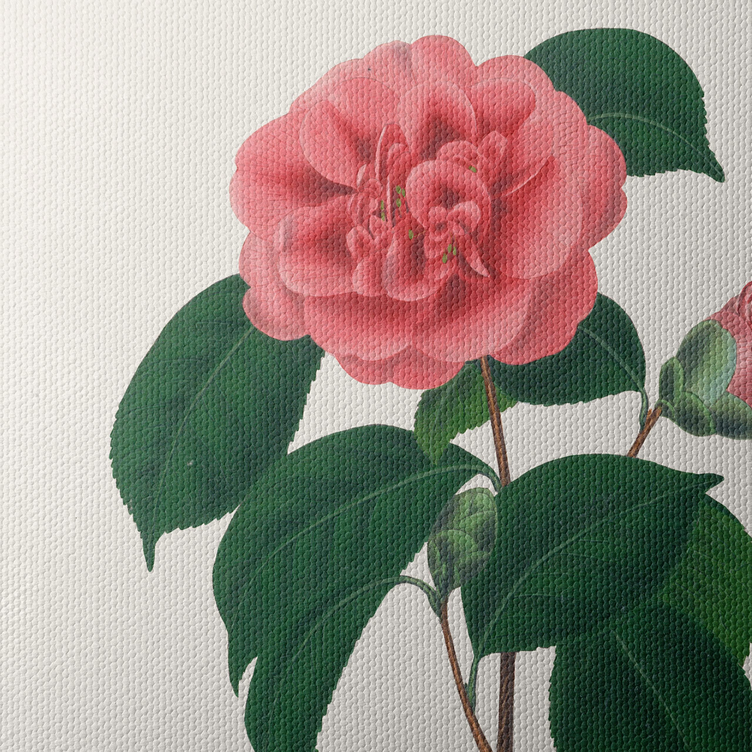 Beautiful Botanical Floral Artwork 7 - Image 4