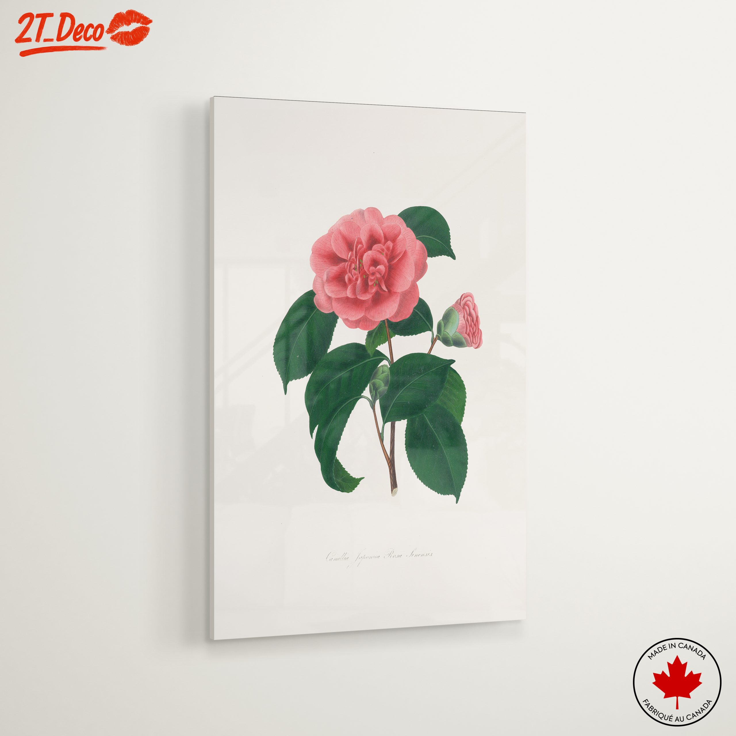 Beautiful Botanical Floral Artwork 7 - Image 6