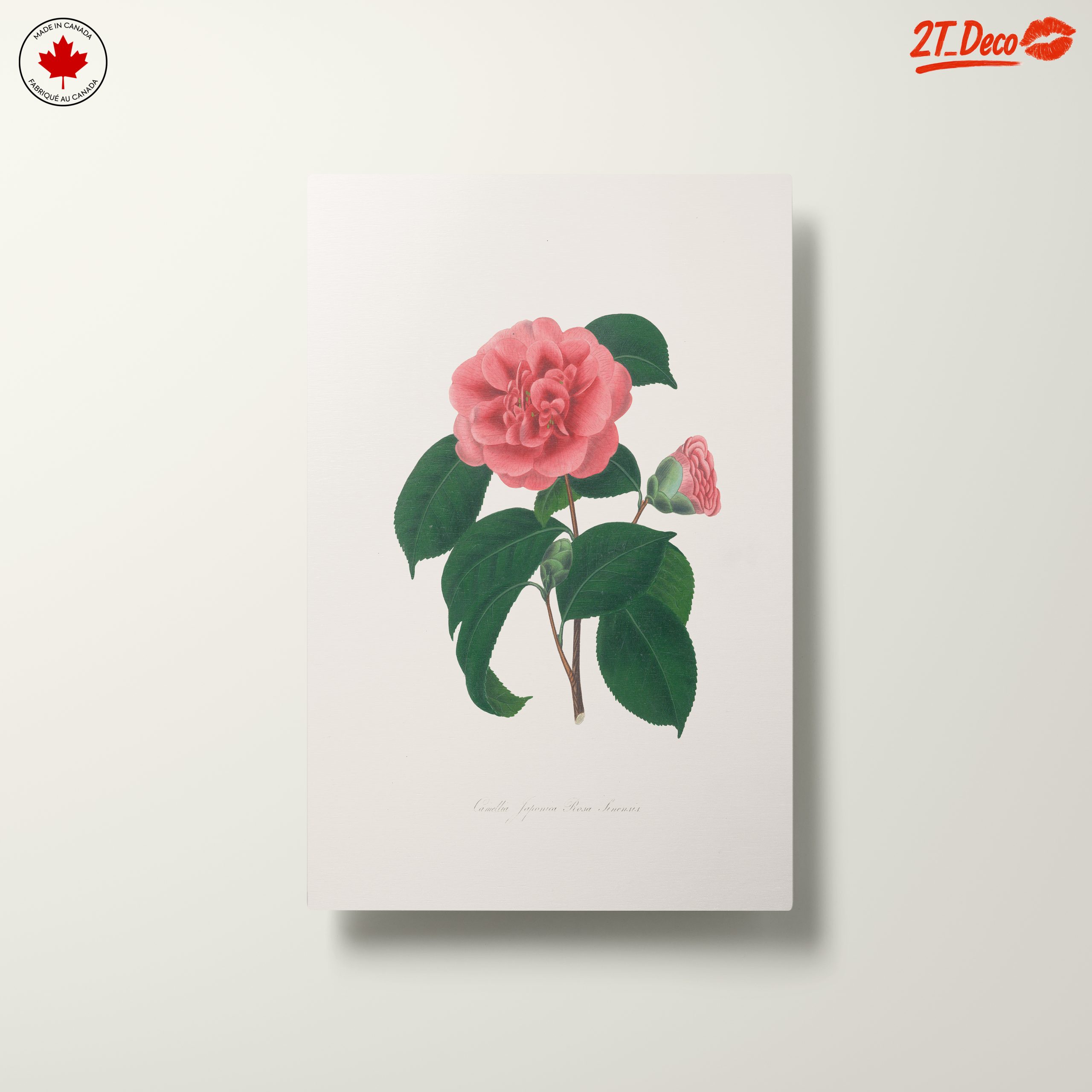 Beautiful Botanical Floral Artwork 7 - Image 10