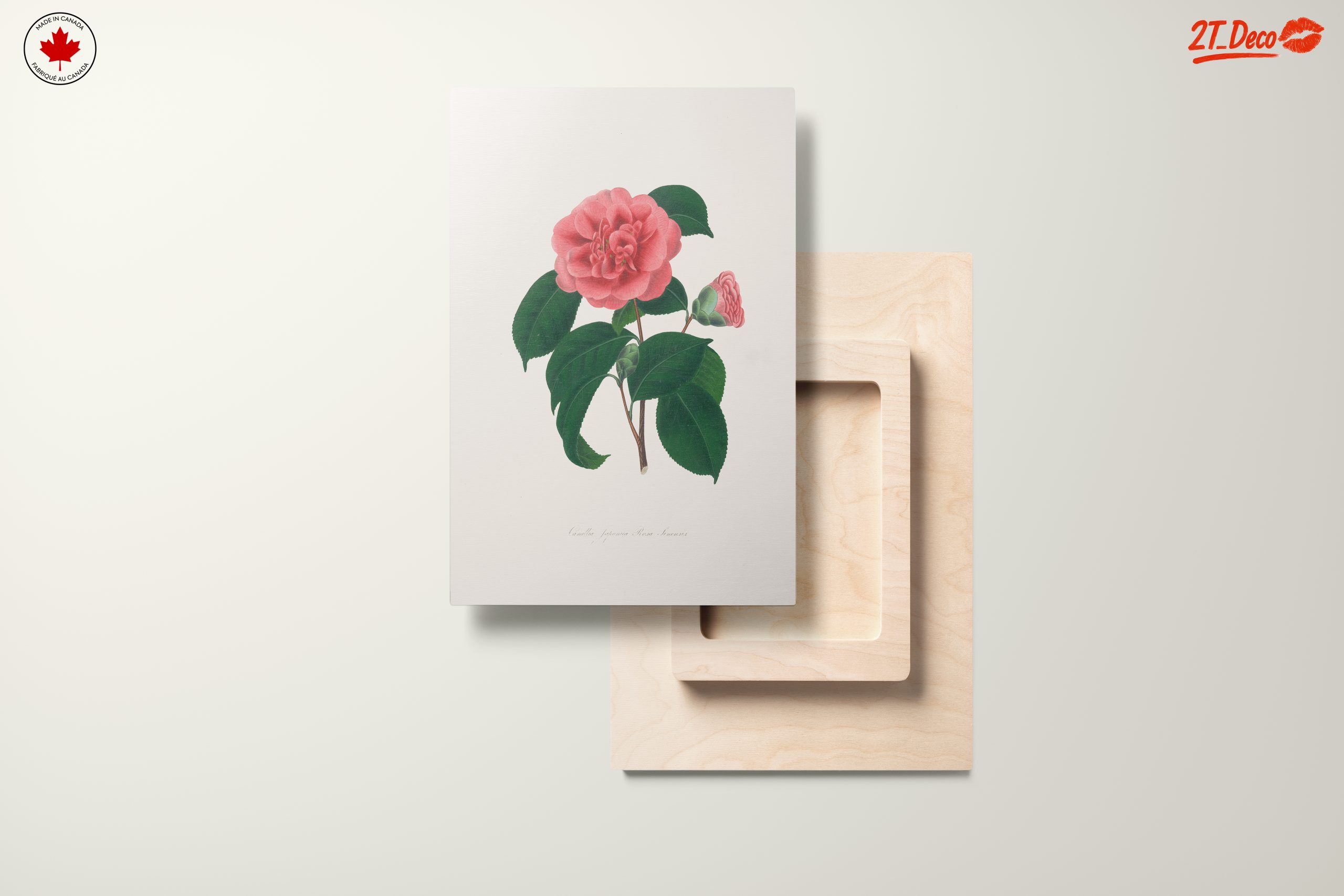 Beautiful Botanical Floral Artwork 7 - Image 11