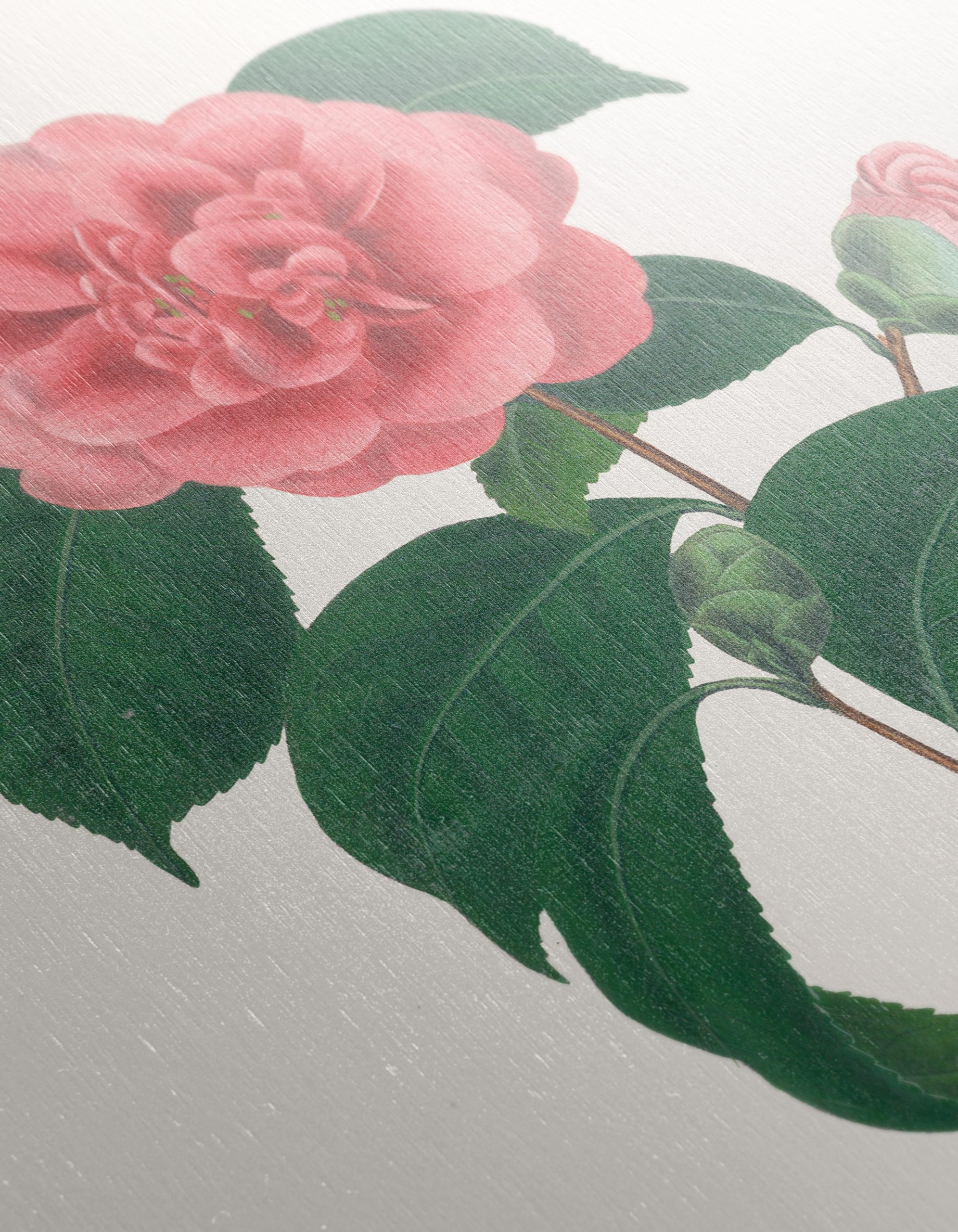 Beautiful Botanical Floral Artwork 7 - Image 12