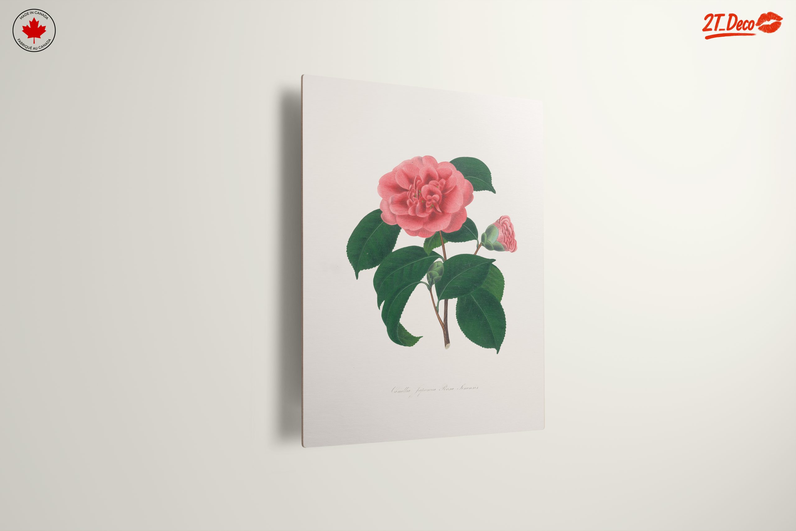 Beautiful Botanical Floral Artwork 7 - Image 13
