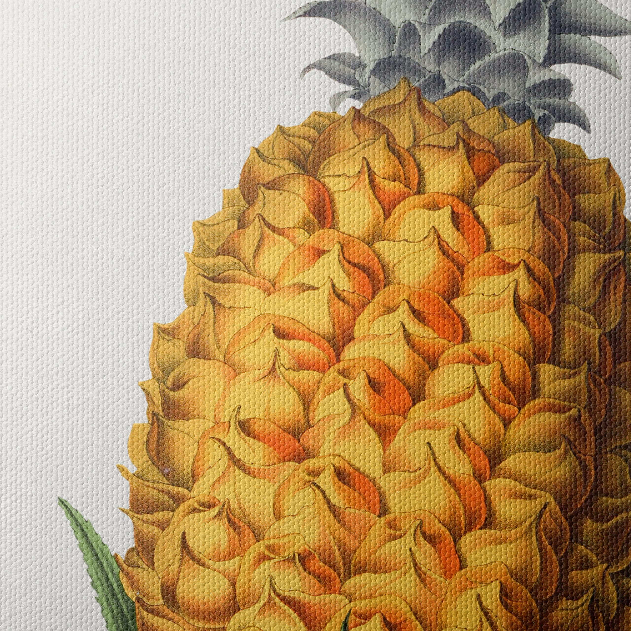 Pineapple Abstract Food Art - Image 4