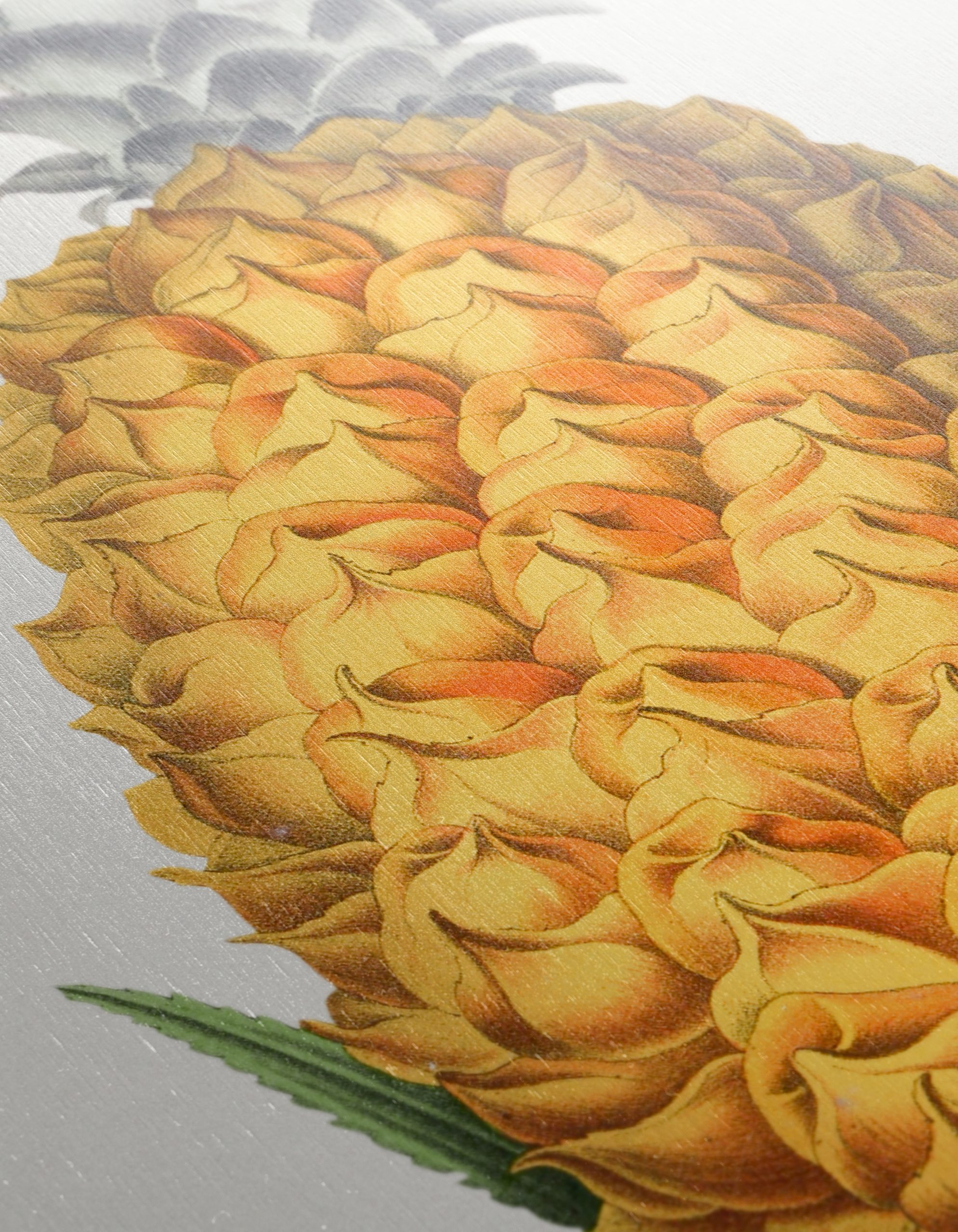Pineapple Abstract Food Art - Image 12