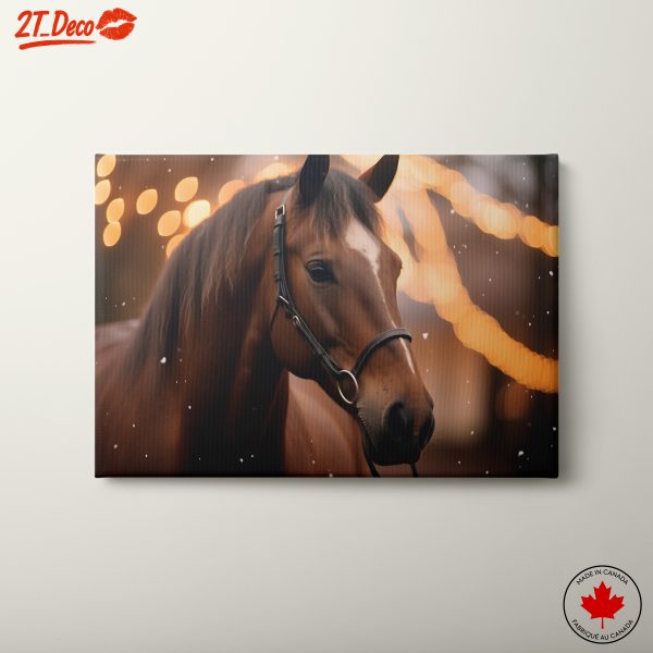 Magnificent Horse Portrait with Warm Lights