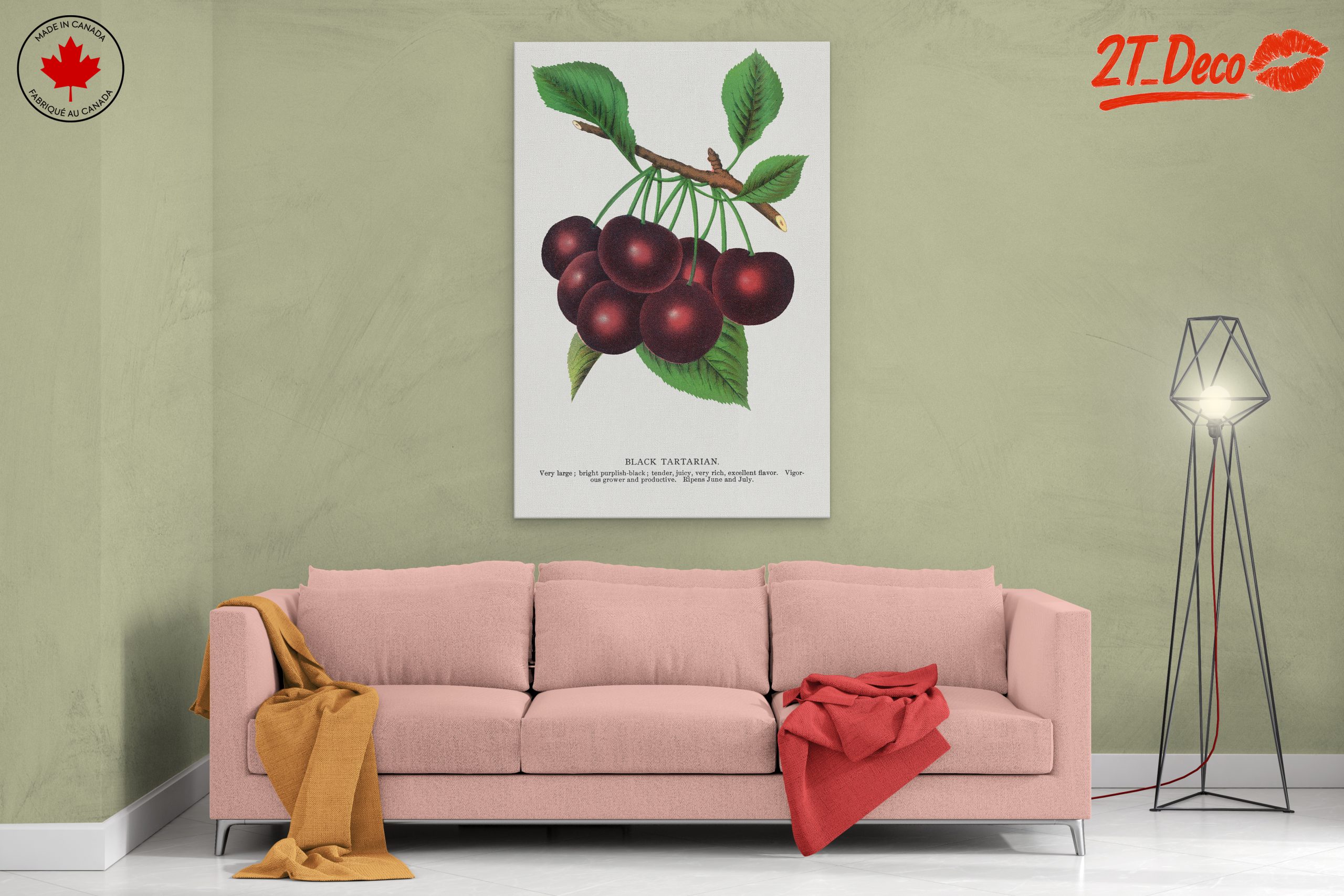 Black Tartarian Cherry Botanical Illustration - Image 2