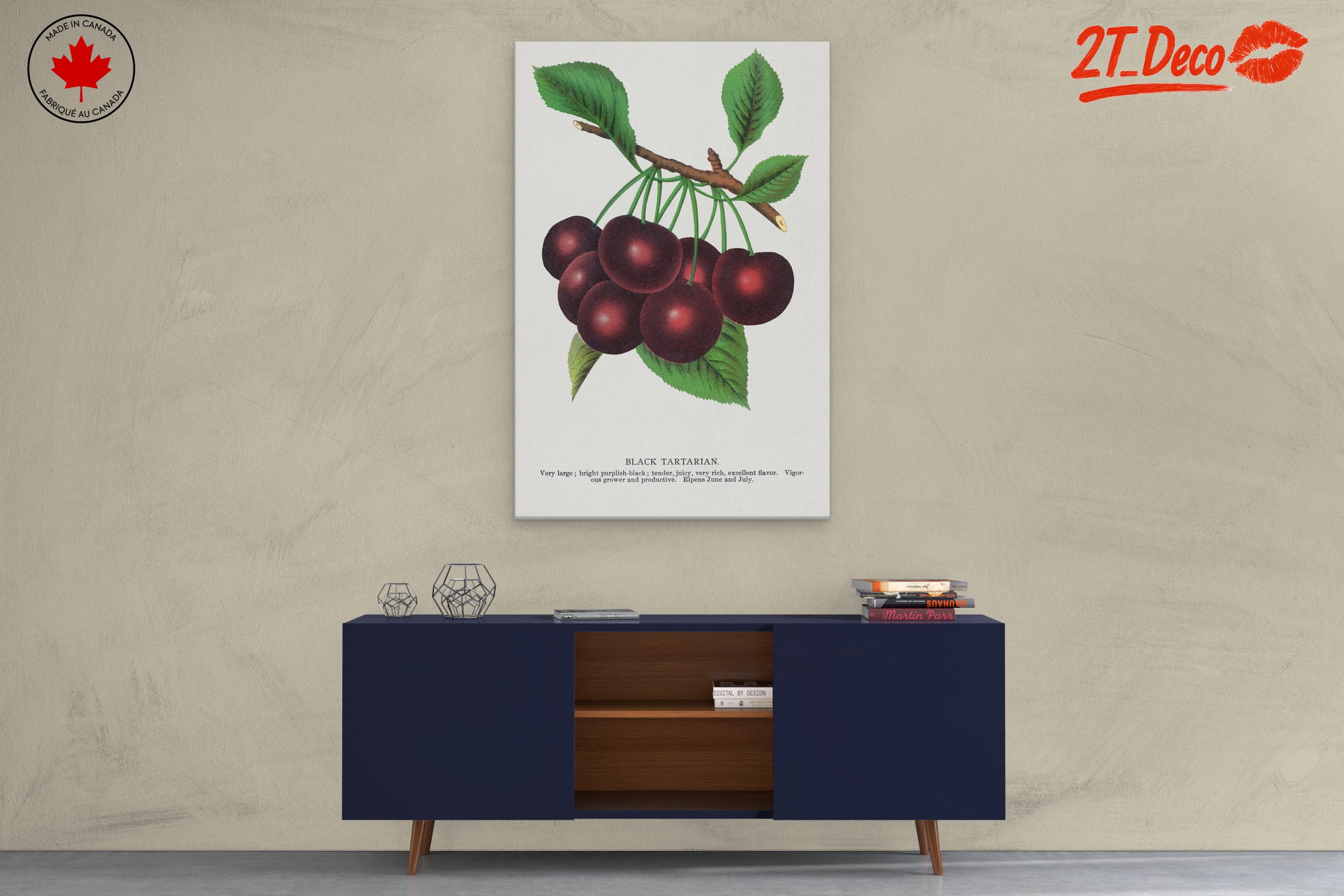 Black Tartarian Cherry Botanical Illustration - Image 3