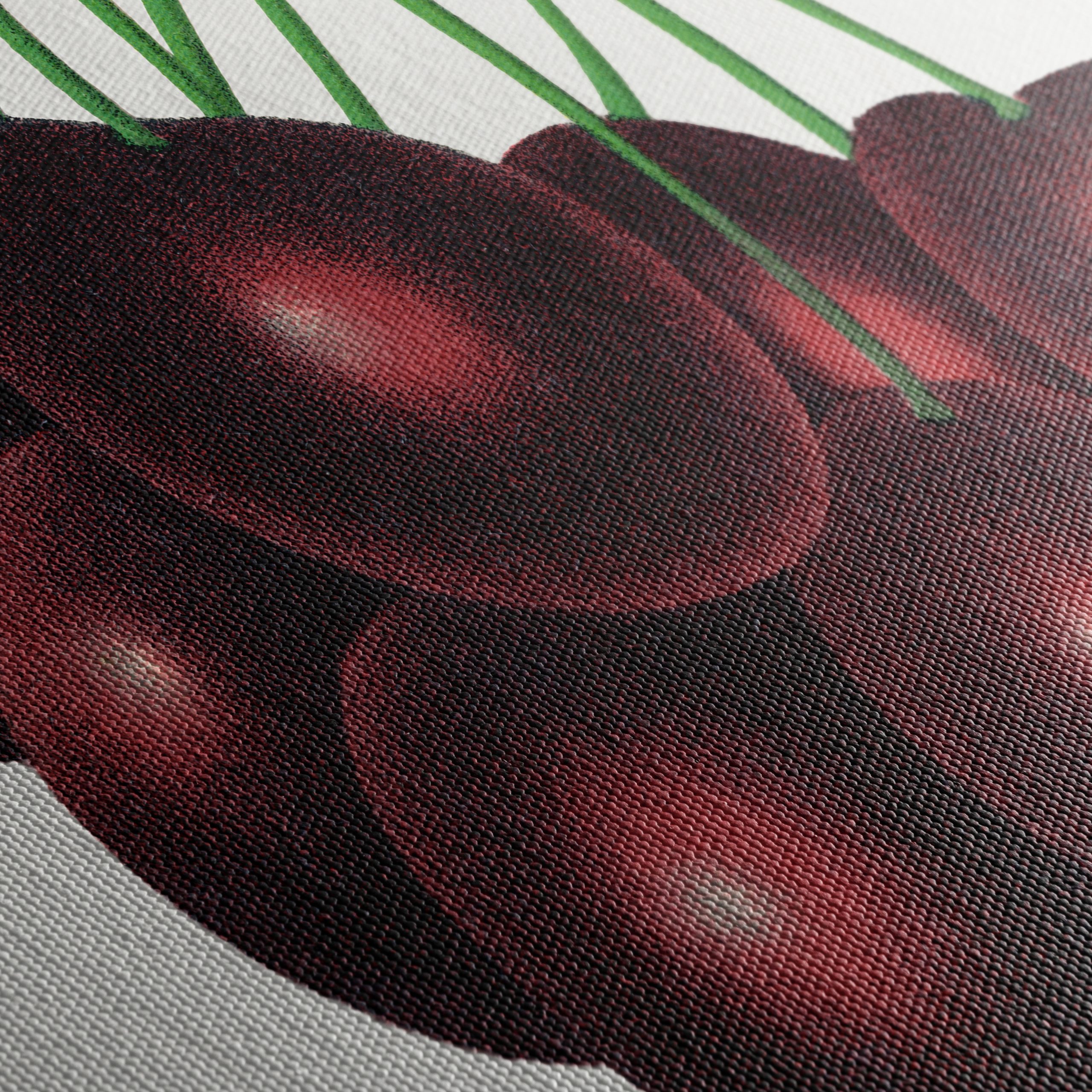 Black Tartarian Cherry Botanical Illustration - Image 5