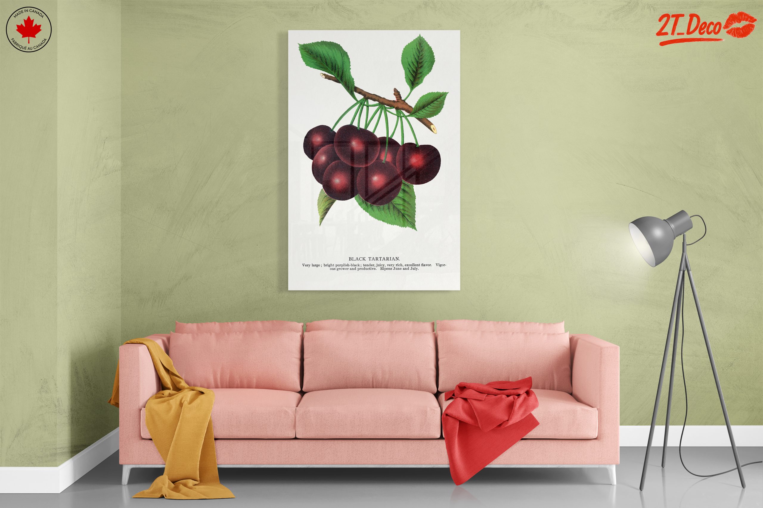 Black Tartarian Cherry Botanical Illustration - Image 7