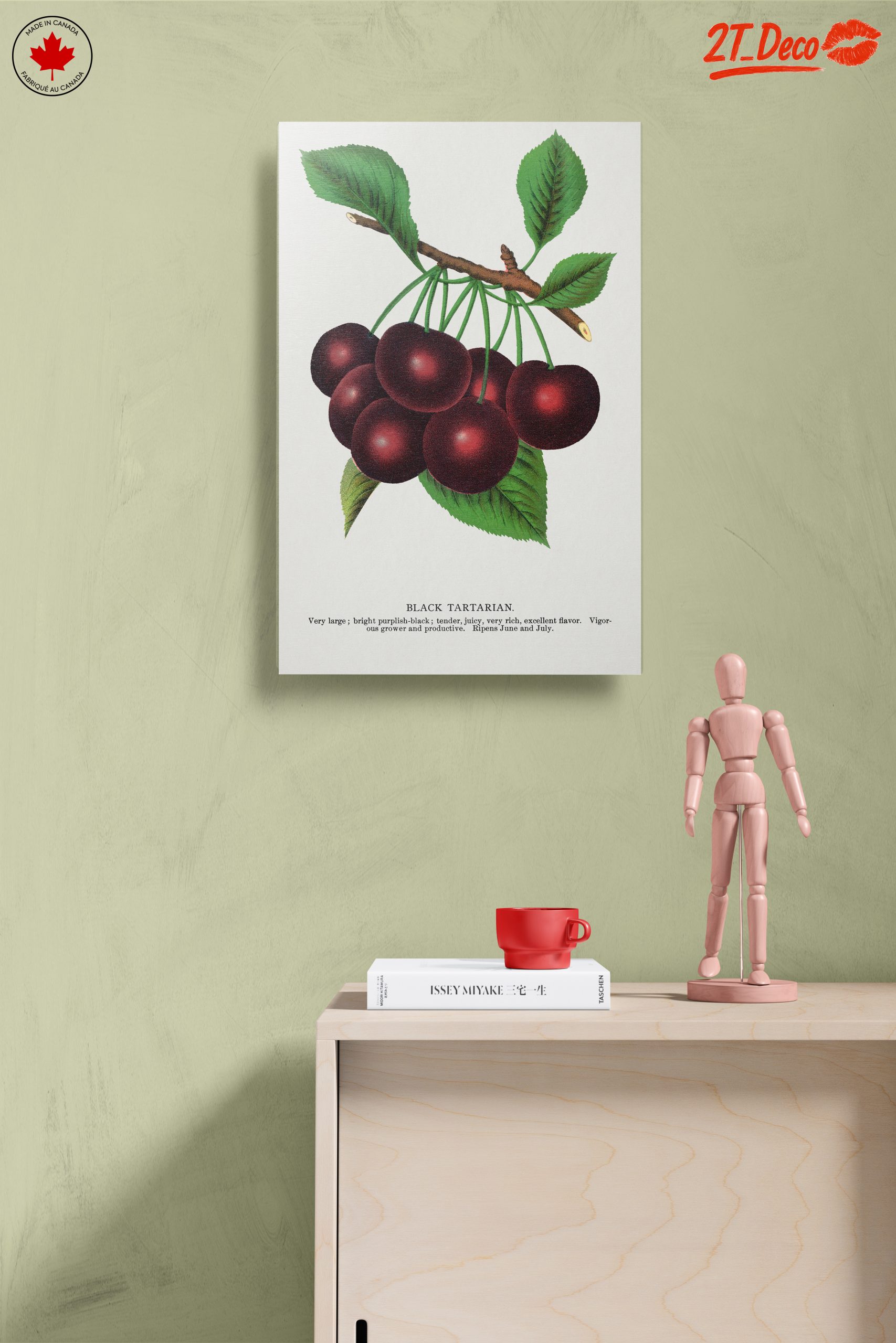 Black Tartarian Cherry Botanical Illustration - Image 14