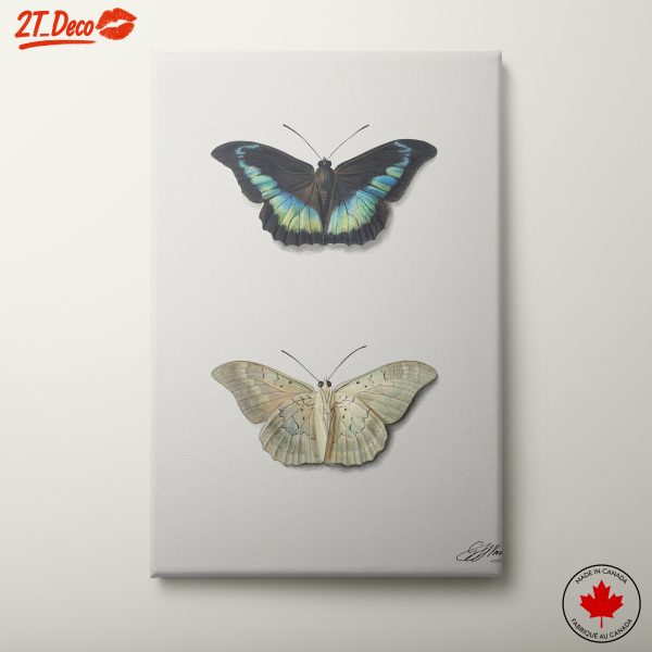Realistic Butterfly Illustrations in Elegant Display