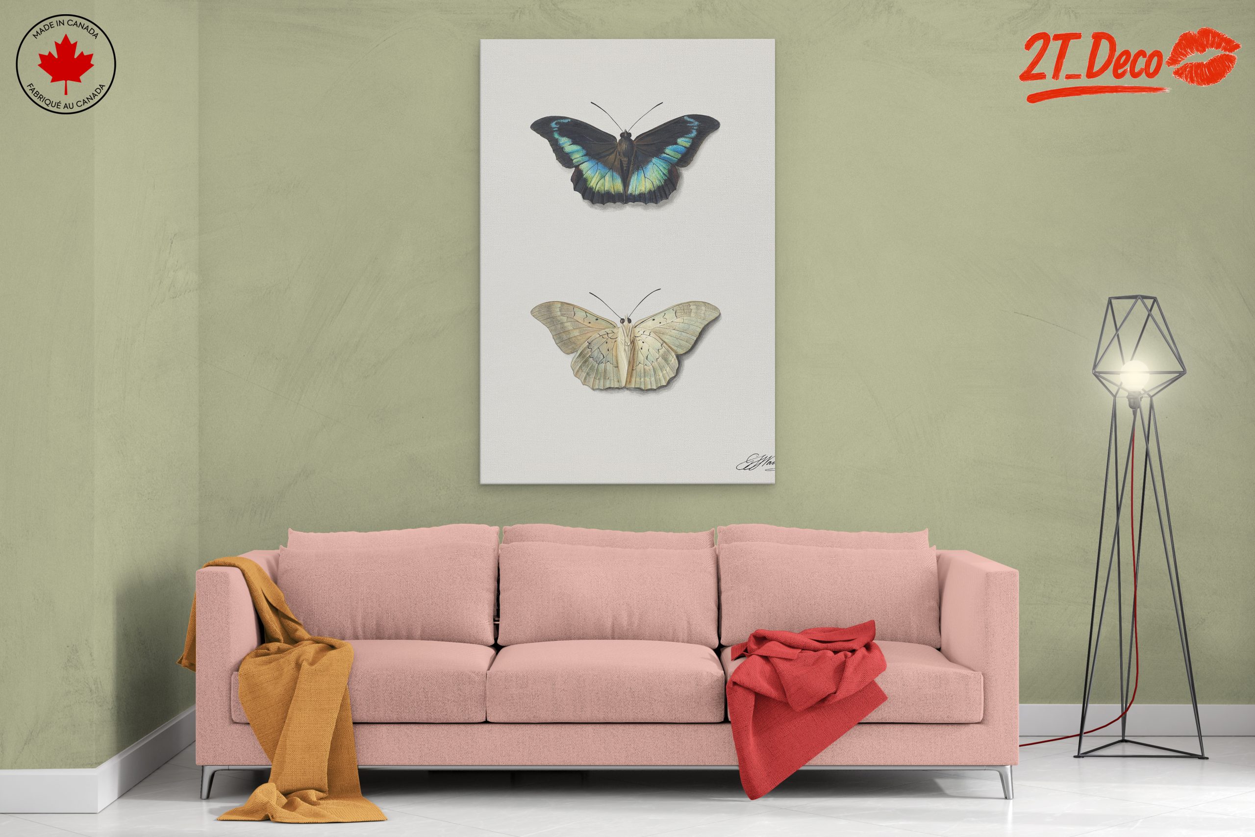 Realistic Butterfly Illustrations in Elegant Display - Image 2