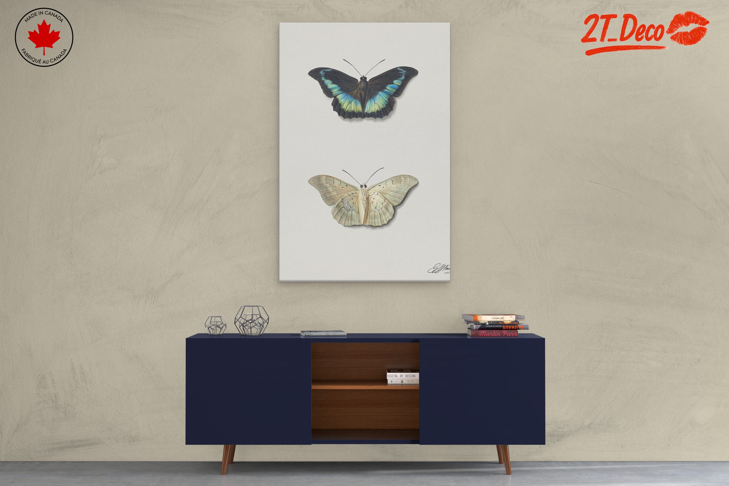 Realistic Butterfly Illustrations in Elegant Display - Image 3