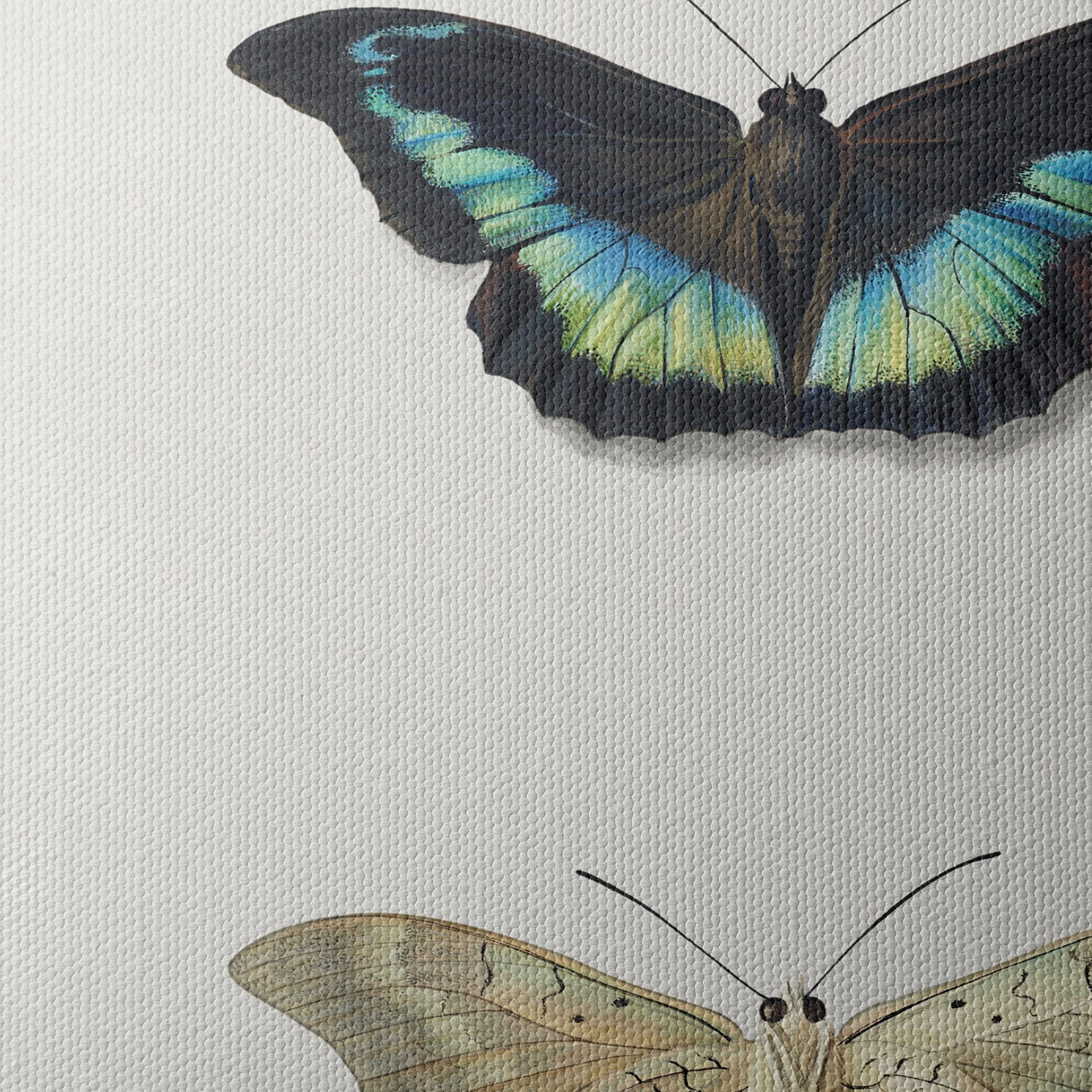 Realistic Butterfly Illustrations in Elegant Display - Image 4