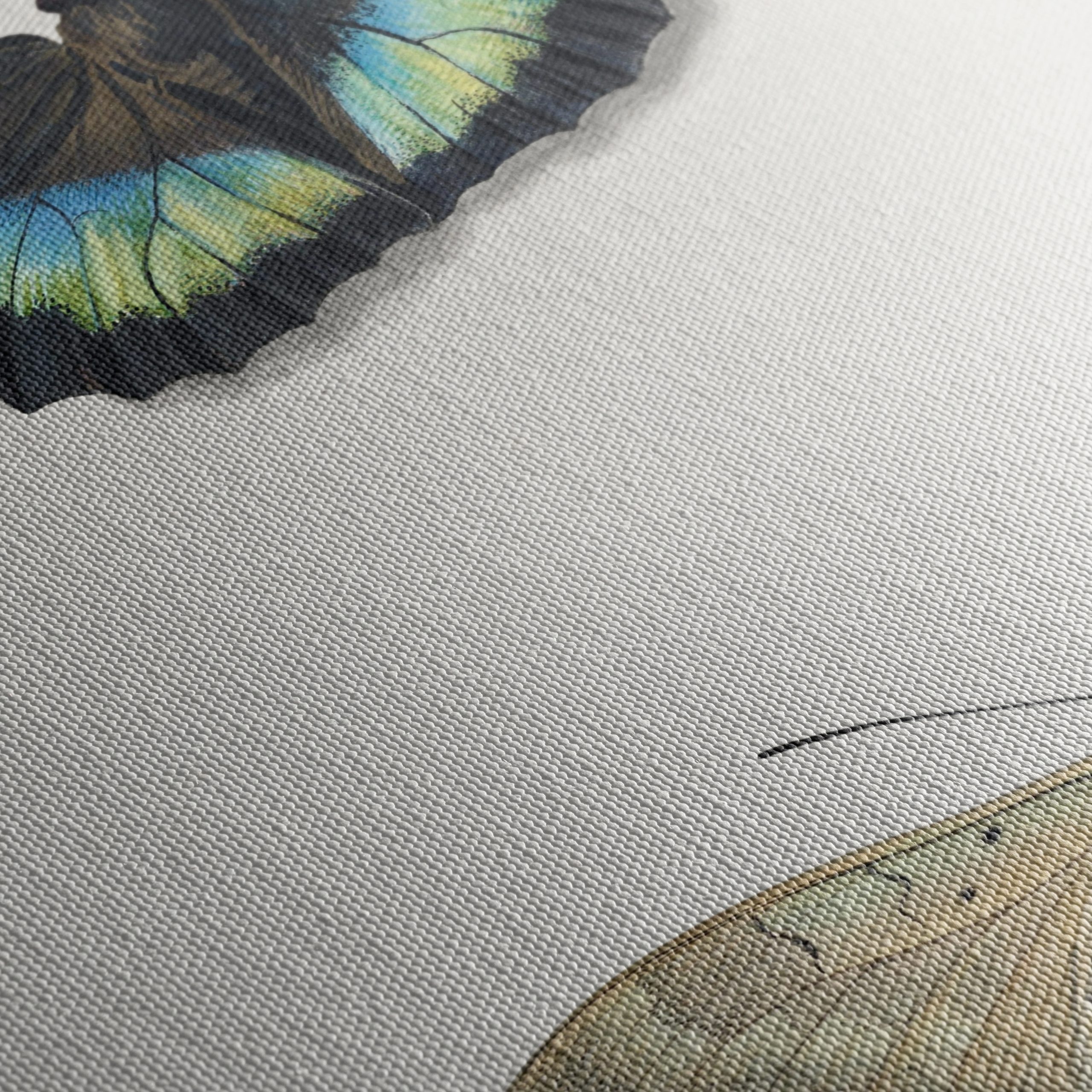 Realistic Butterfly Illustrations in Elegant Display - Image 5
