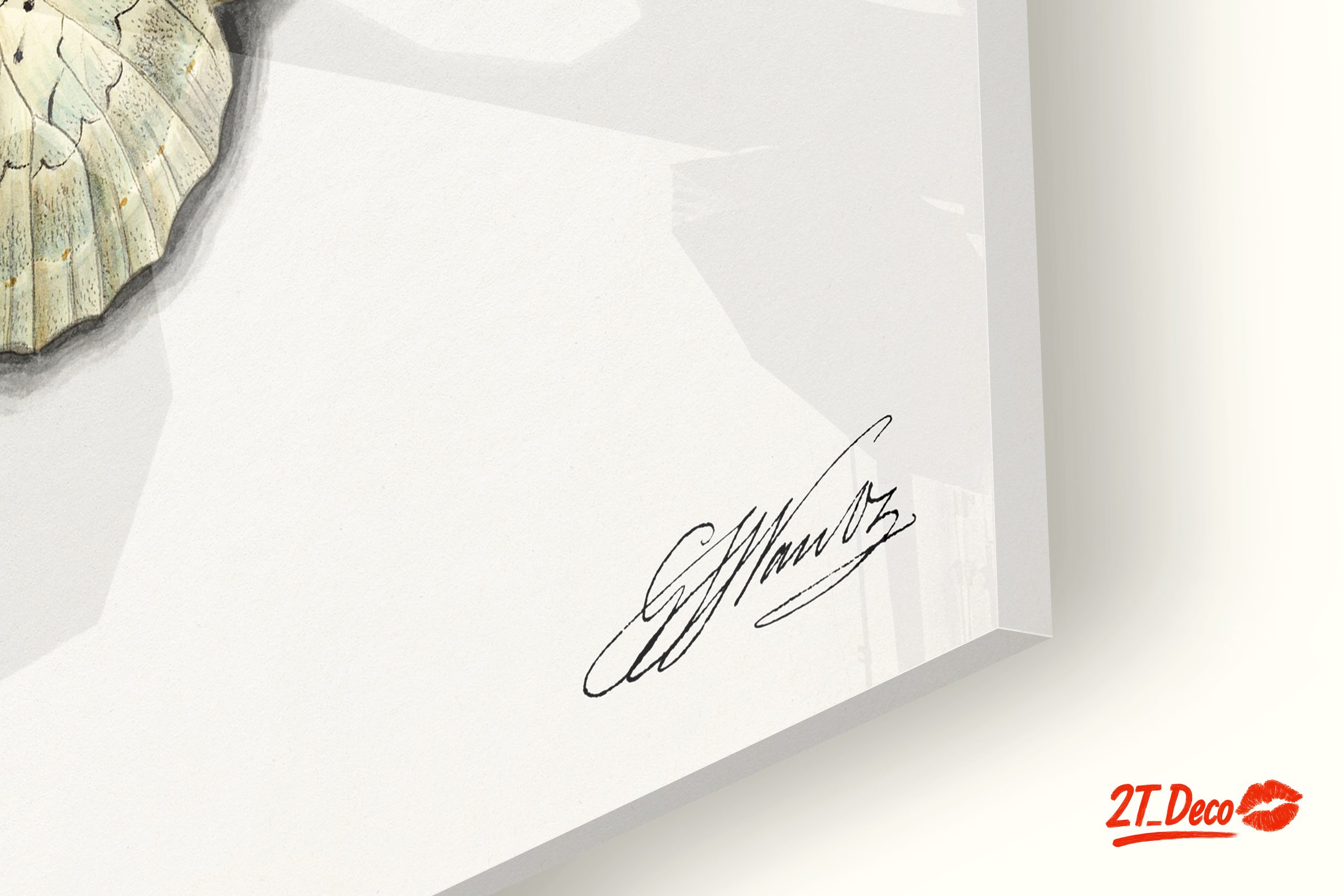 Realistic Butterfly Illustrations in Elegant Display - Image 9