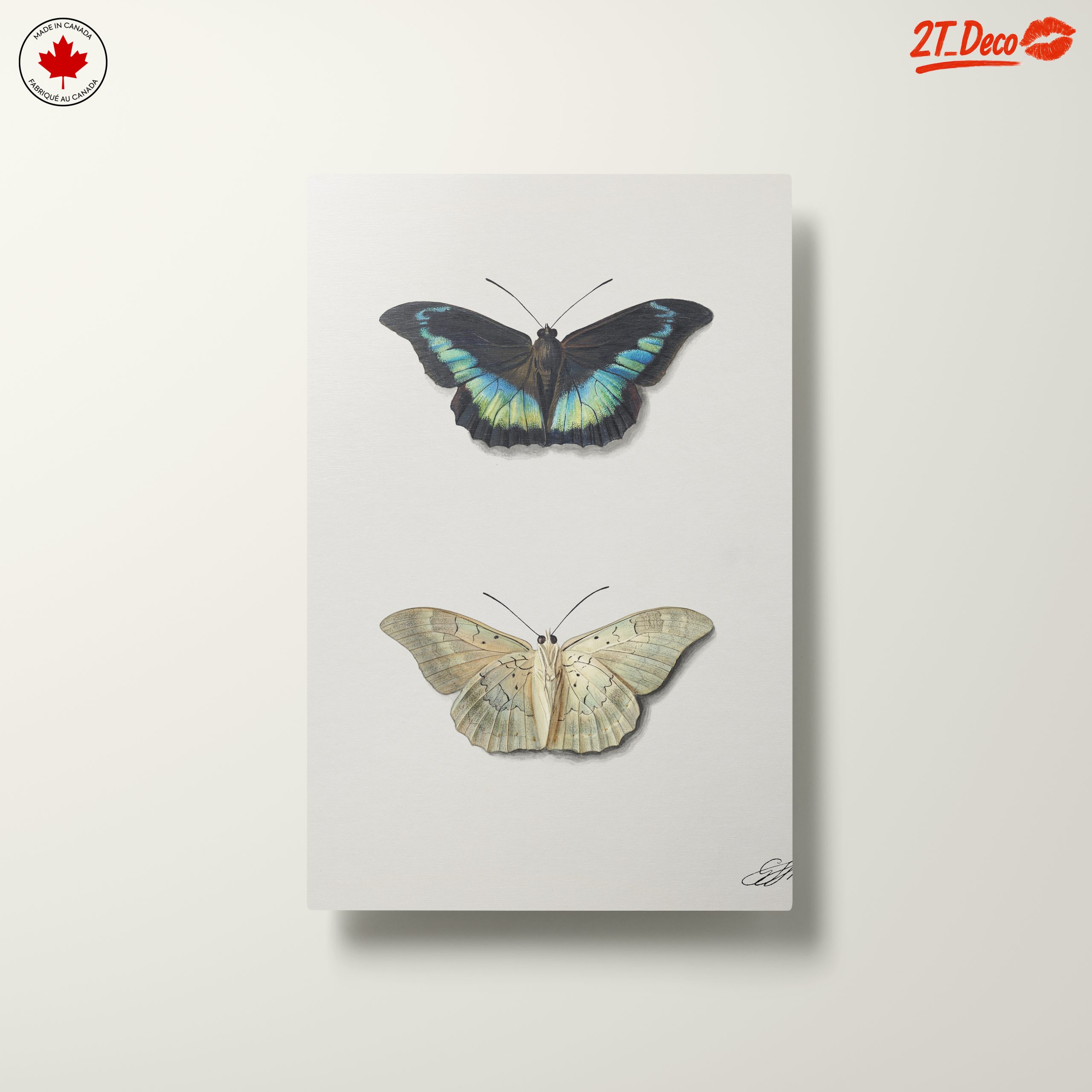 Realistic Butterfly Illustrations in Elegant Display - Image 10