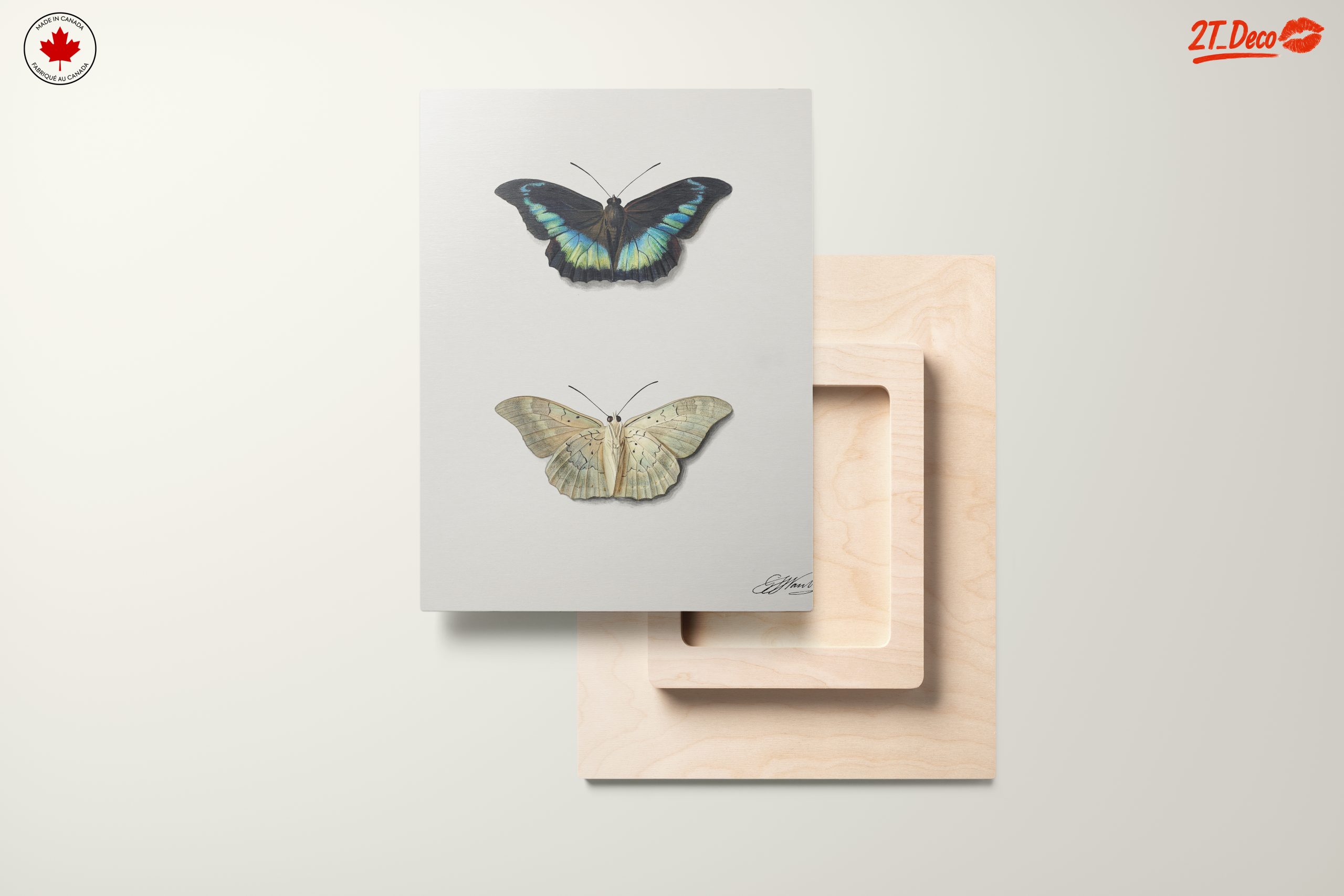 Realistic Butterfly Illustrations in Elegant Display - Image 11