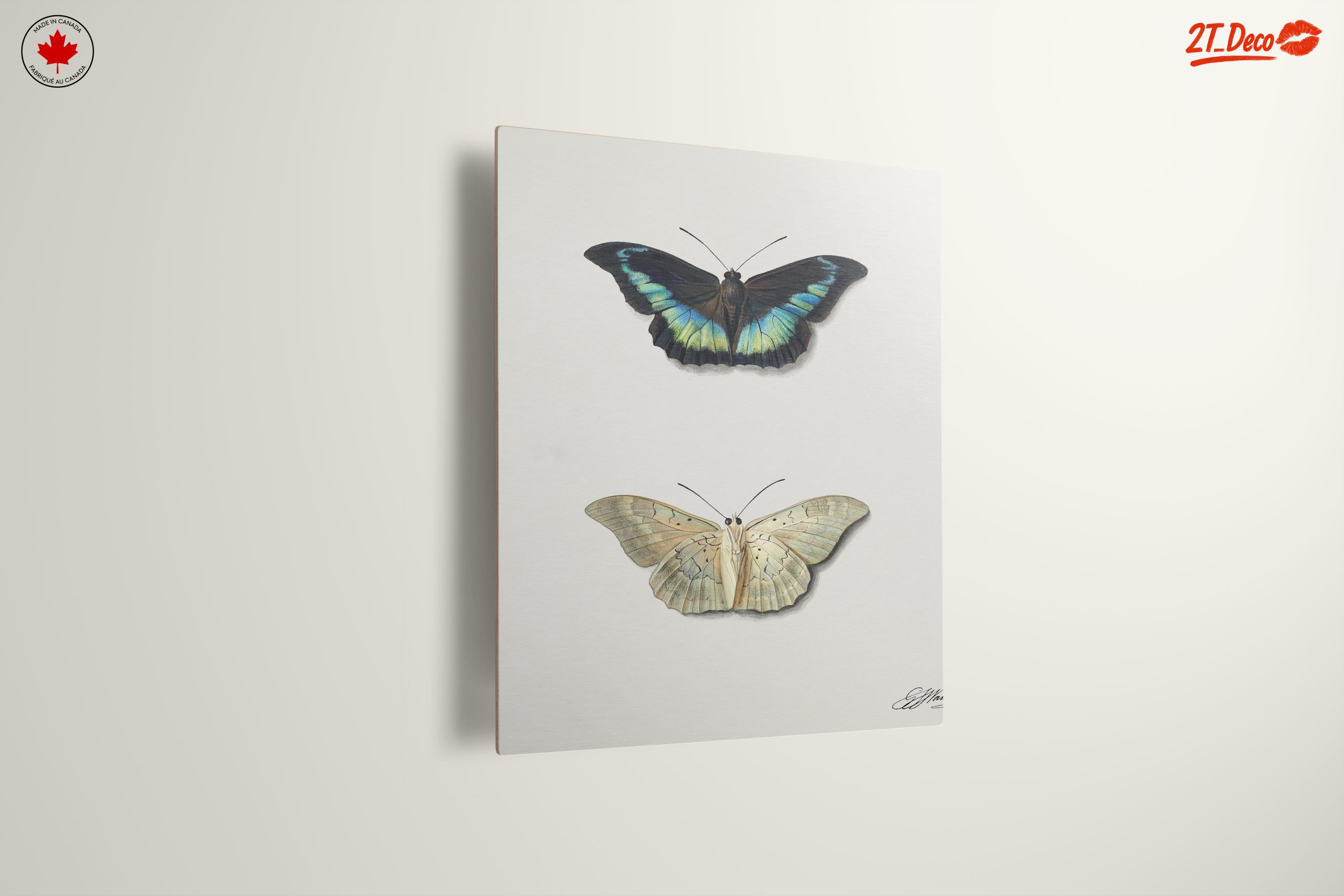 Realistic Butterfly Illustrations in Elegant Display - Image 13