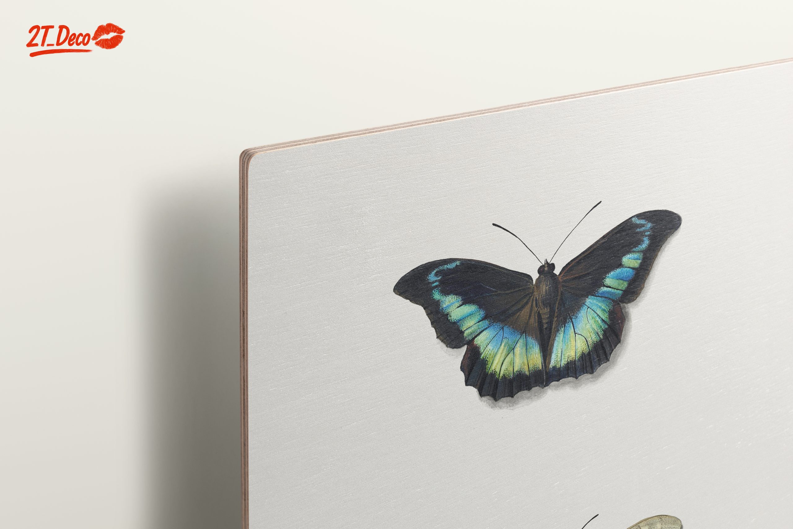 Realistic Butterfly Illustrations in Elegant Display - Image 15