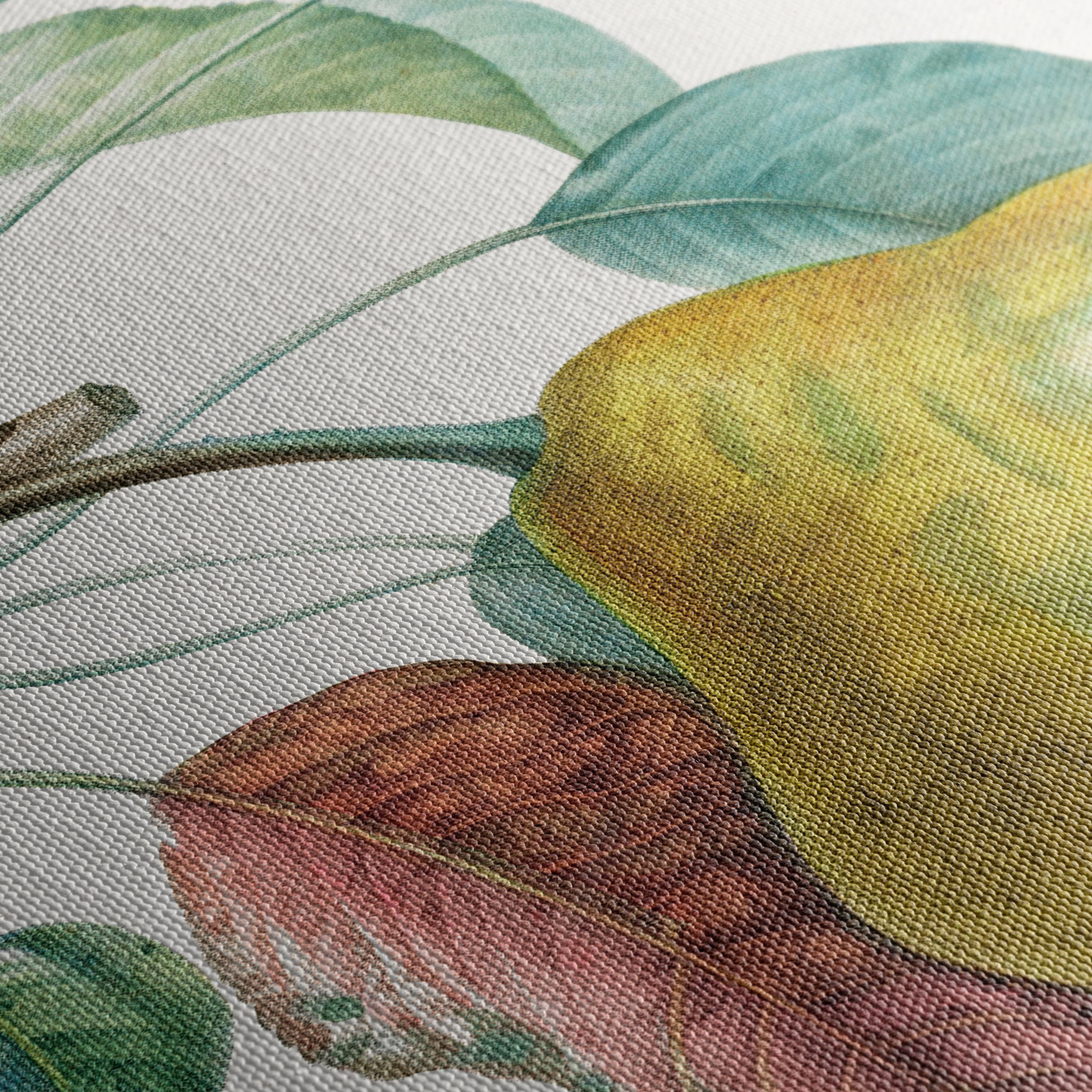 Detailed Botanical Artwork of a Pear - Image 5