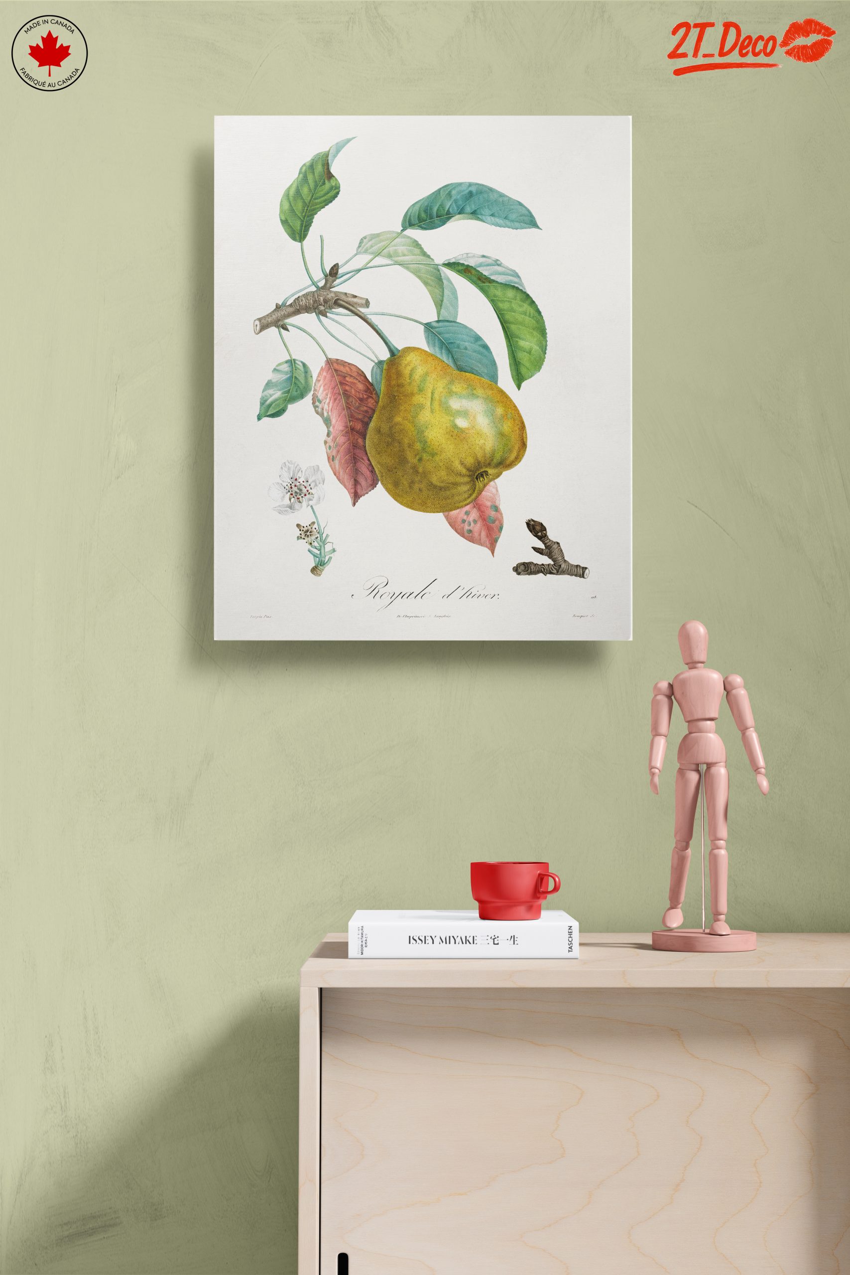 Detailed Botanical Artwork of a Pear - Image 14