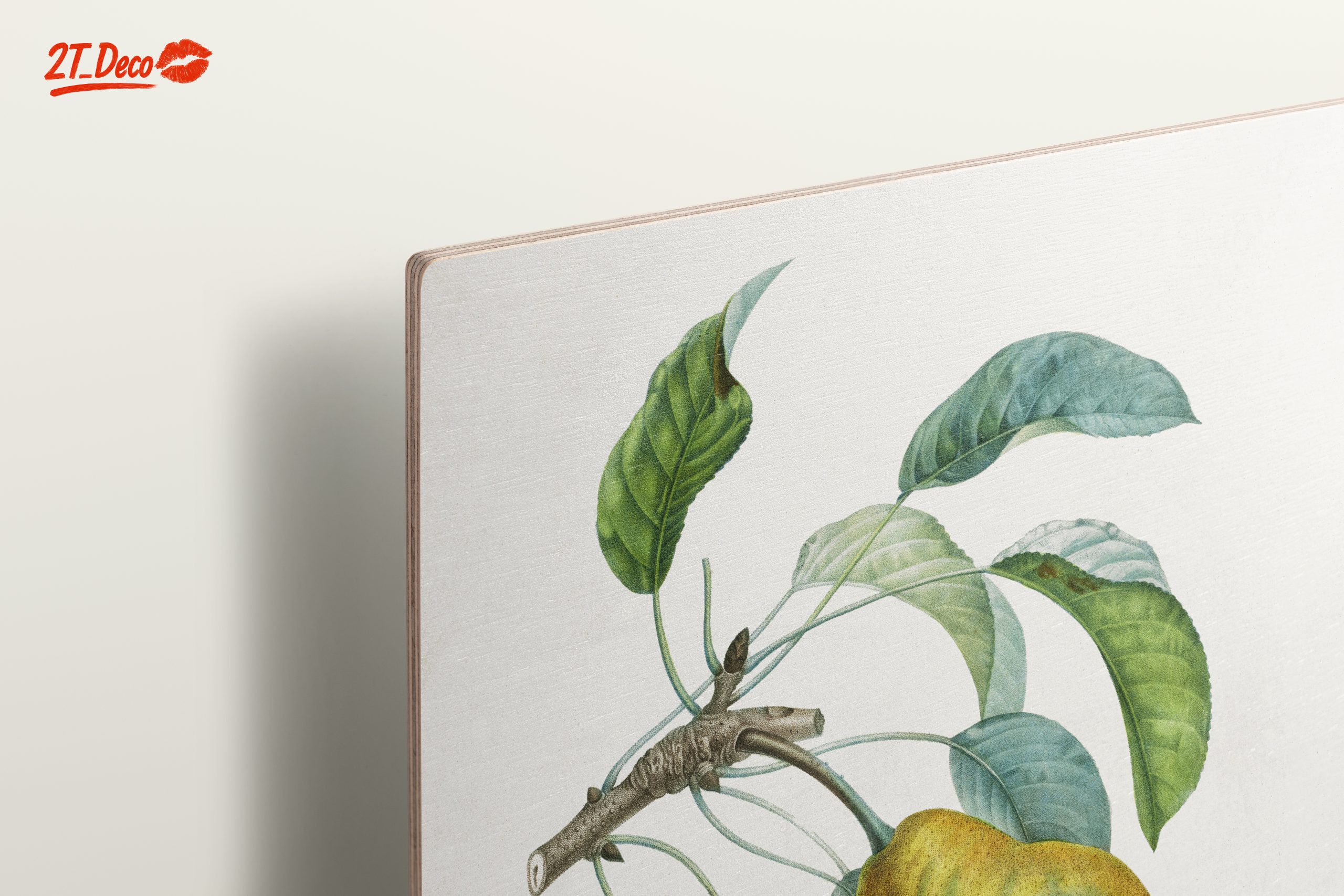 Detailed Botanical Artwork of a Pear - Image 15