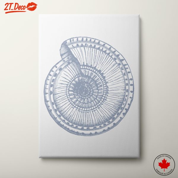 Stylized Botanical Shell Artwork