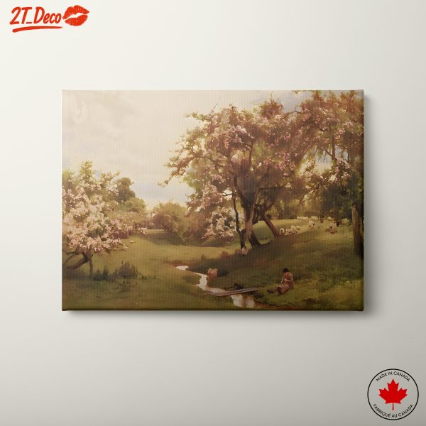 Serene Nature Landscape with Tranquil Stream