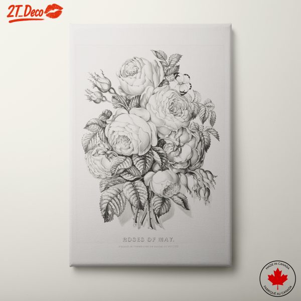 Botanical Art of Roses