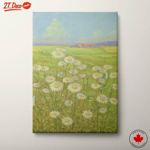 Beautiful Daisies in Natural Landscape