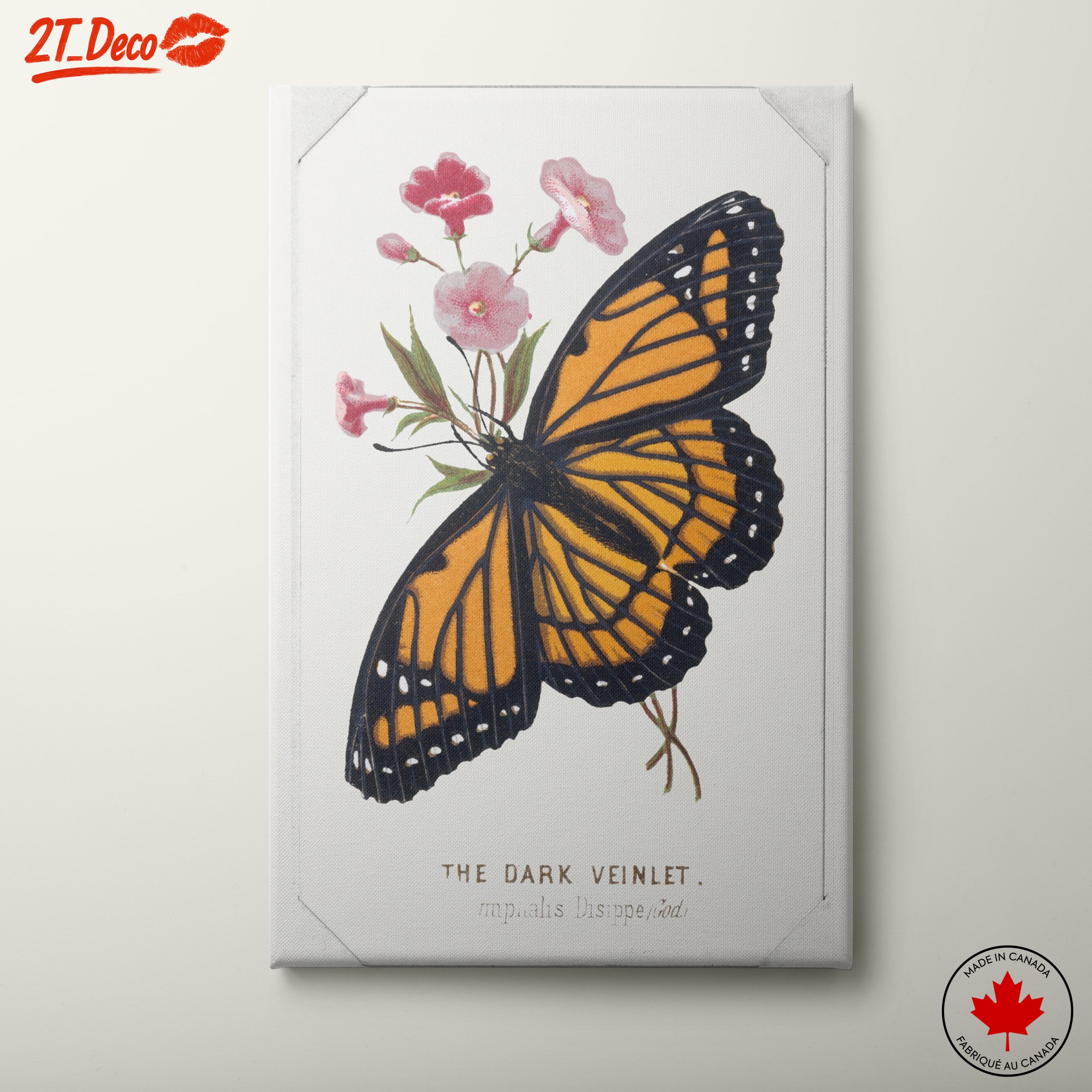 Vibrant Butterfly and Floral Composition Art